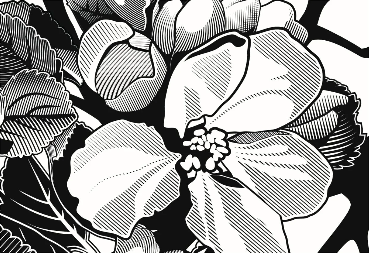 Custom plaques - apple blossom.jpg