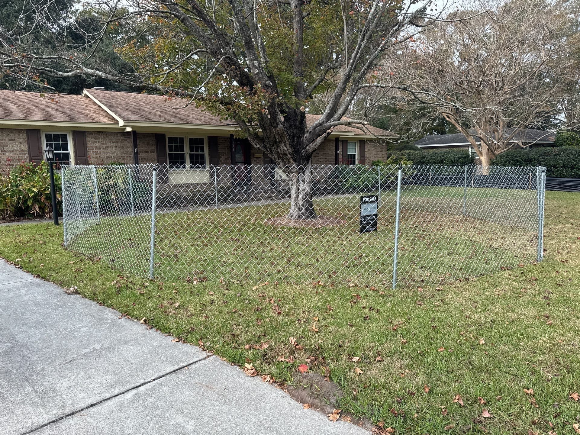 2-Nov 26 2024 04_08pm-Fefb.jpg