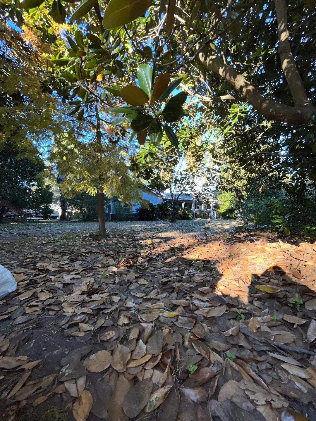 30-Dec 06 2024 08_33pm-xTGe.jpg