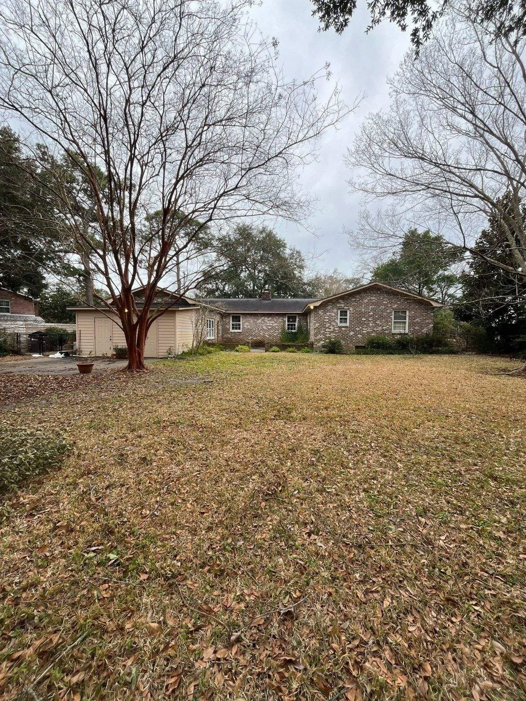 32-Jan 23 2024 04_31pm-e32V.jpg