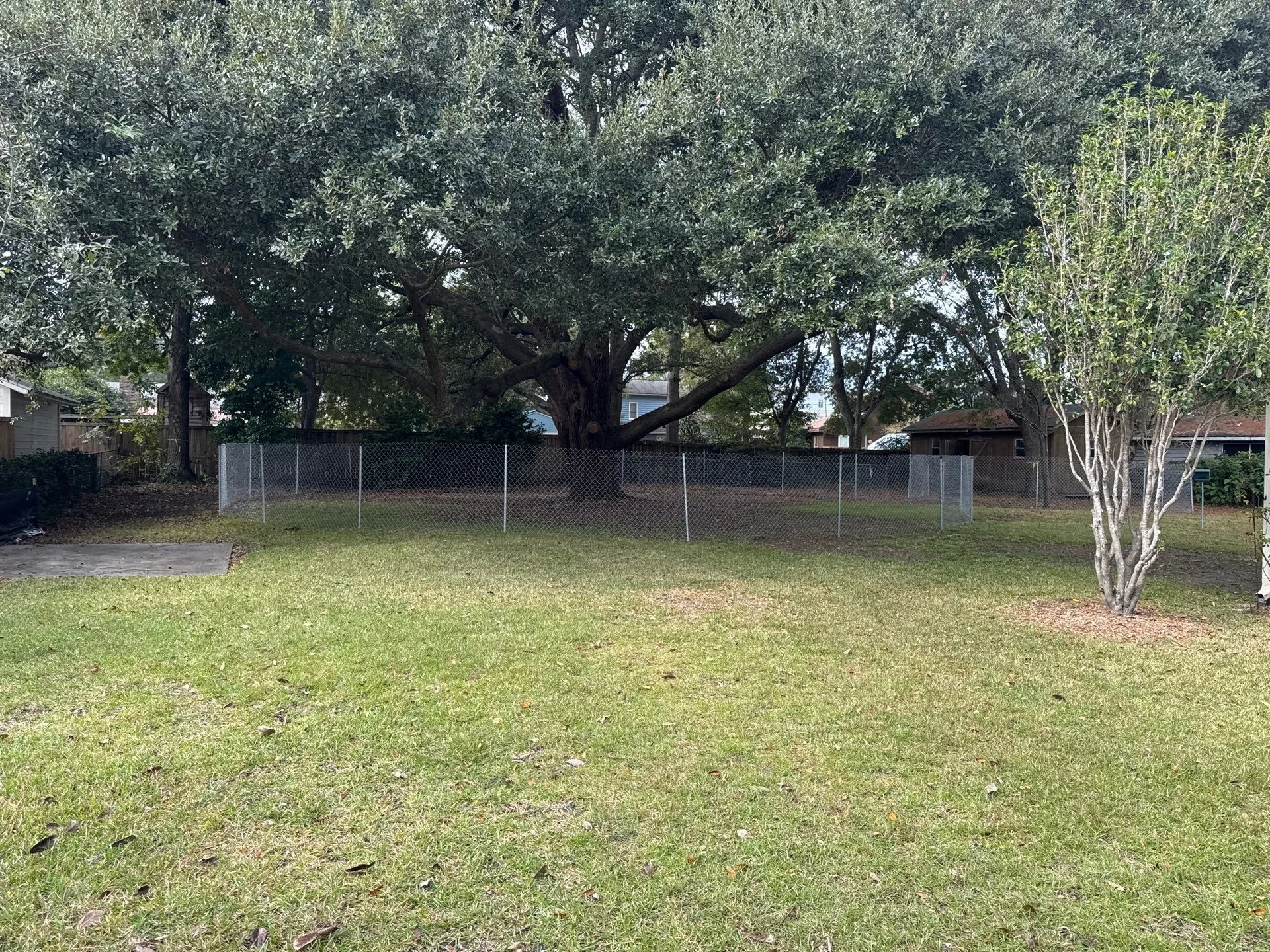 6-Nov 26 2024 04_08pm-Btkn.jpg