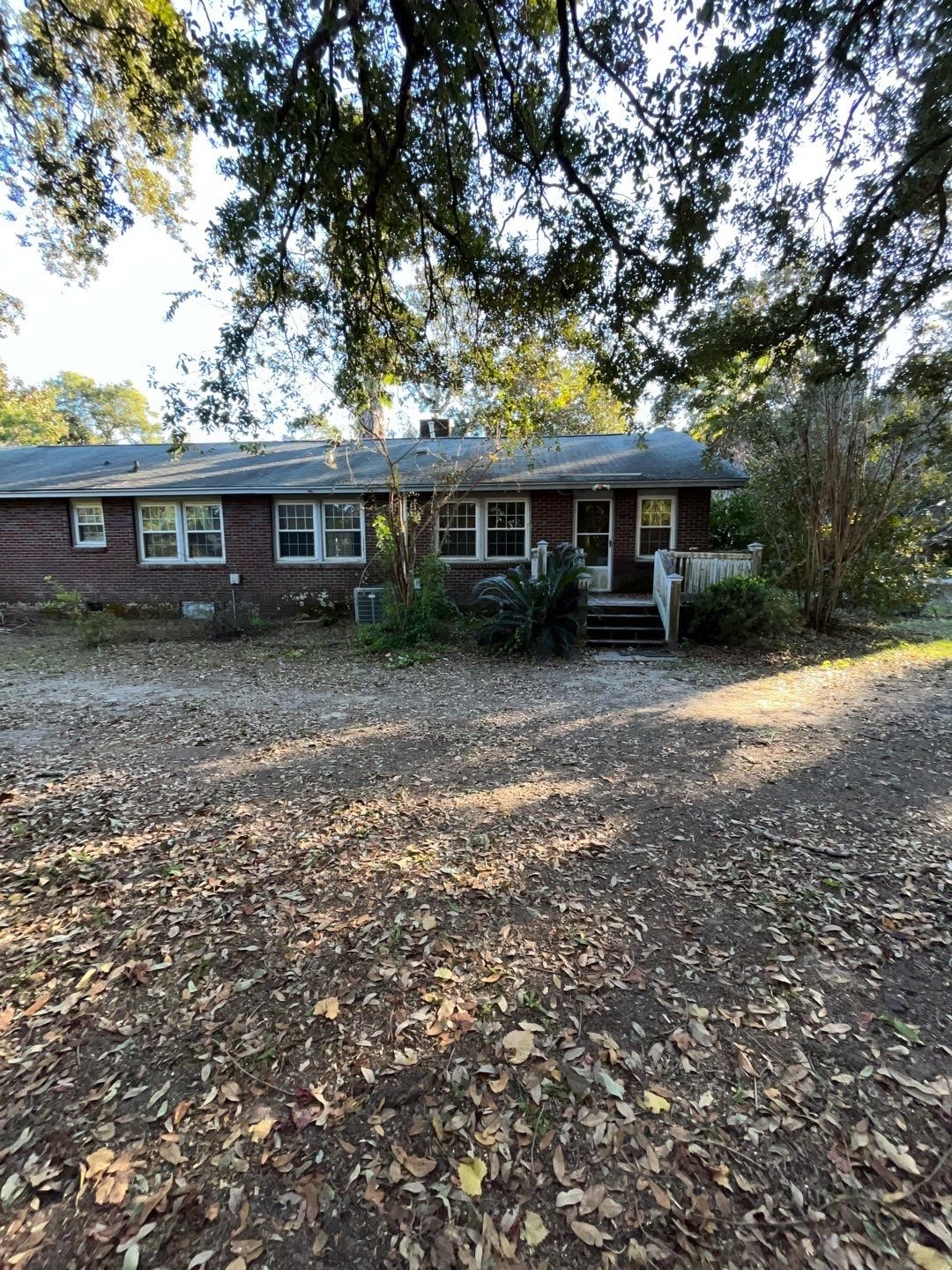 24-Dec 06 2024 08_24pm-yjso.jpg