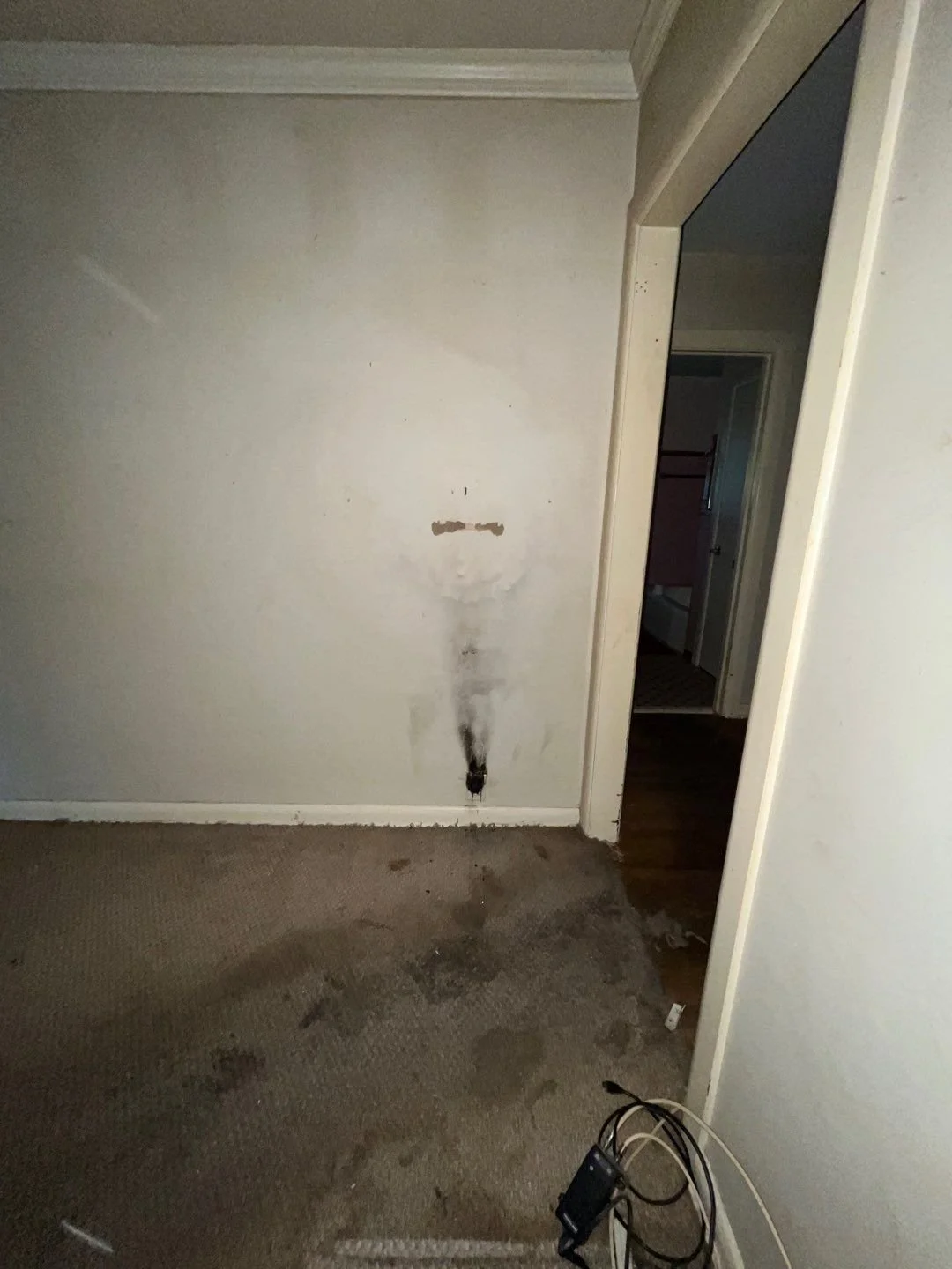 22-Dec 06 2024 08_23pm-XJao.jpg