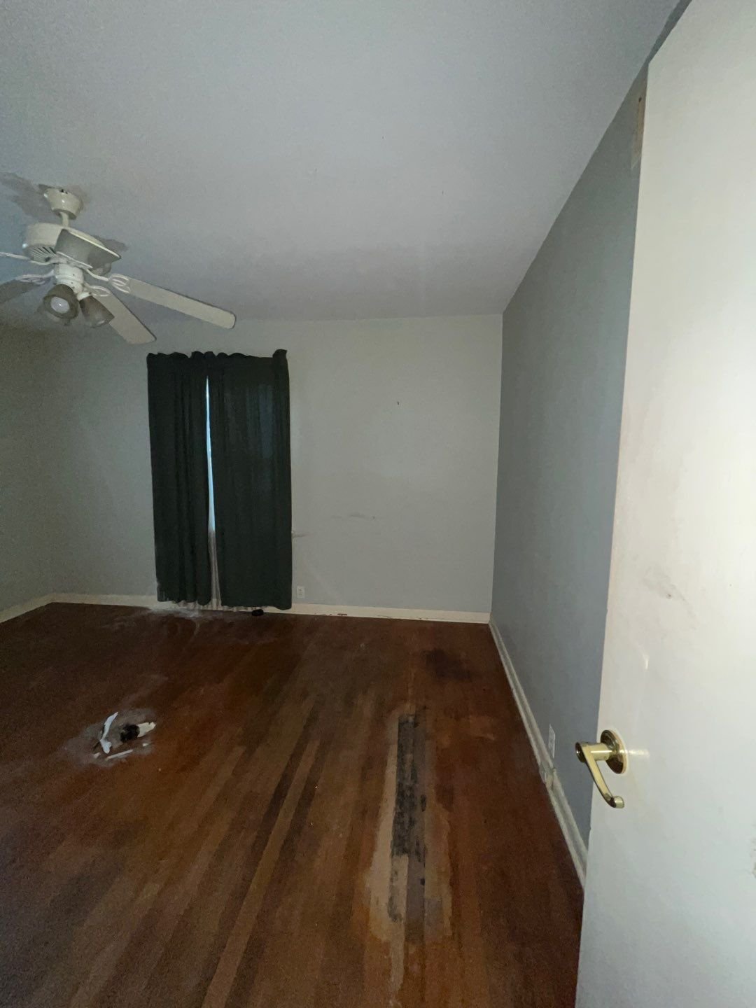 18-Dec 06 2024 08_23pm-fYny.jpg