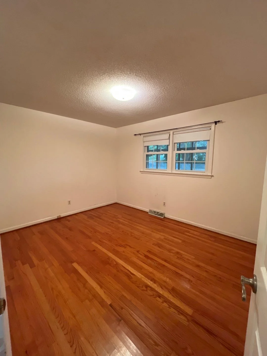 35-Nov 27 2024 04_29pm-LadL.jpg