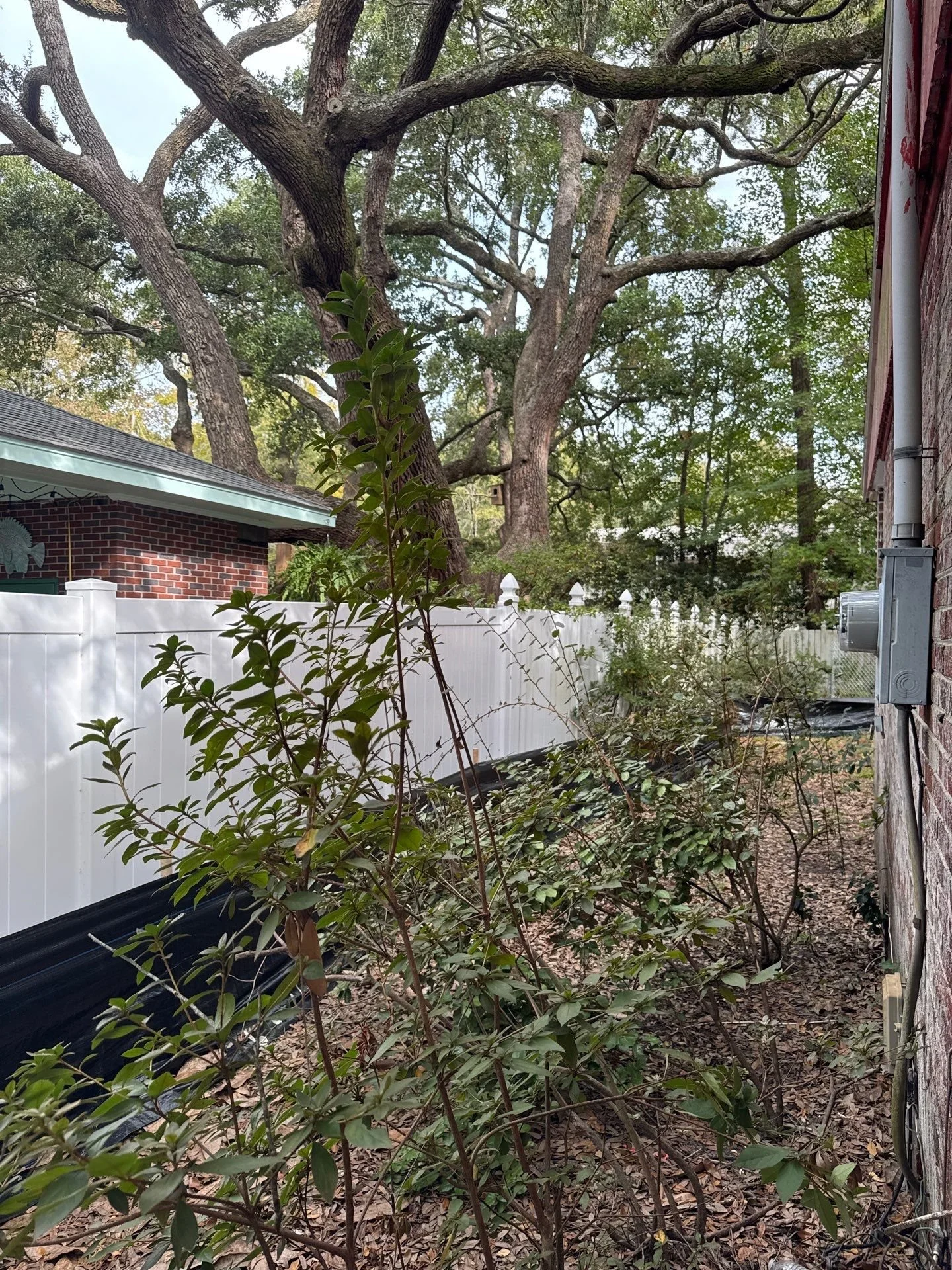 33-Nov 26 2024 04_26pm-6HpX.jpg