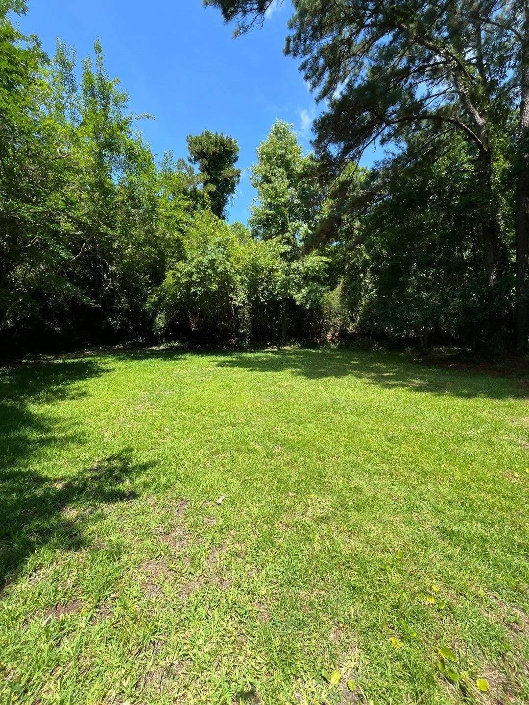 19-Jun 11 2024 04_00pm-tGSK.jpg