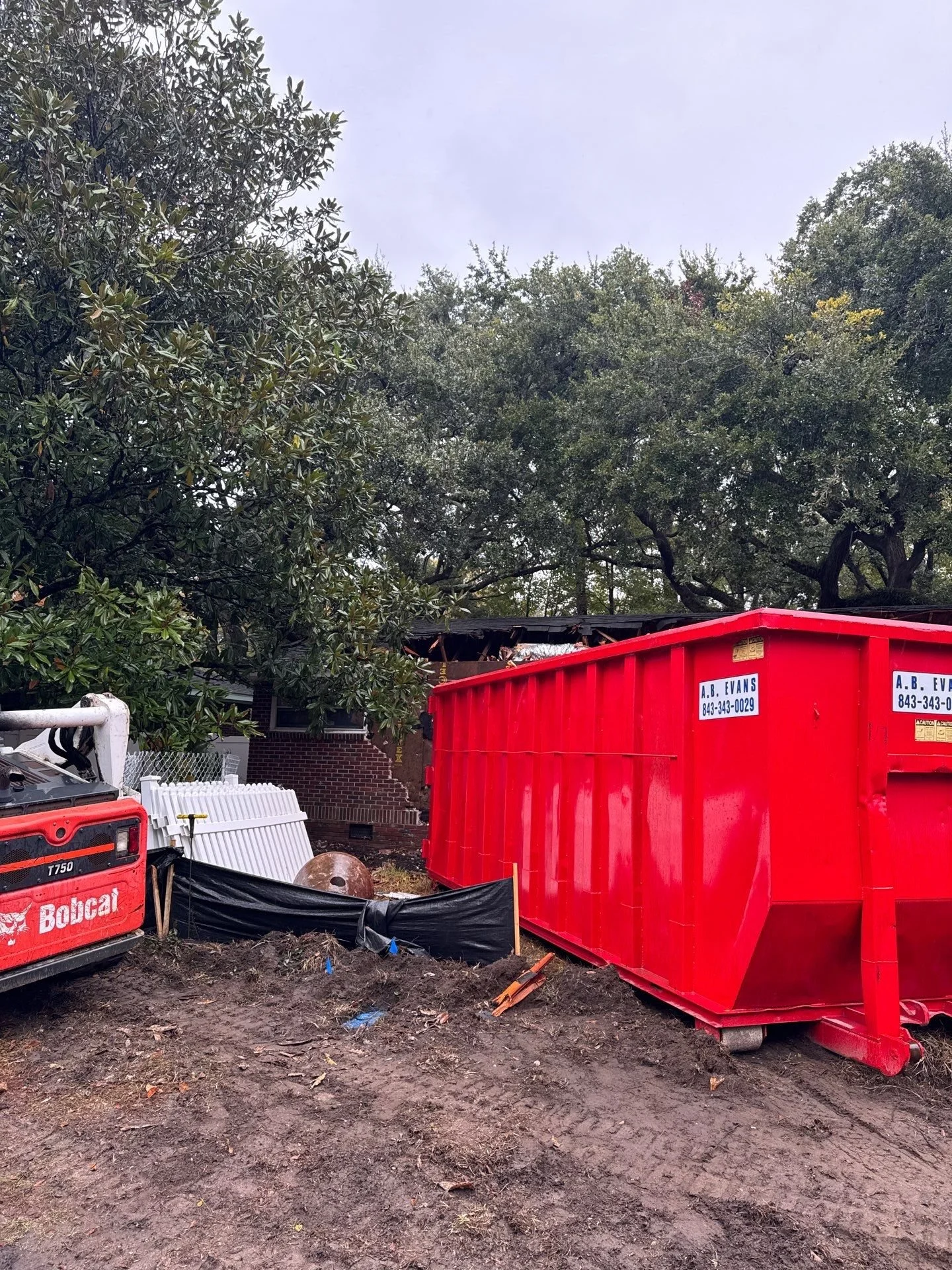 36-Dec 11 2024 04_08pm-YRwt.jpg