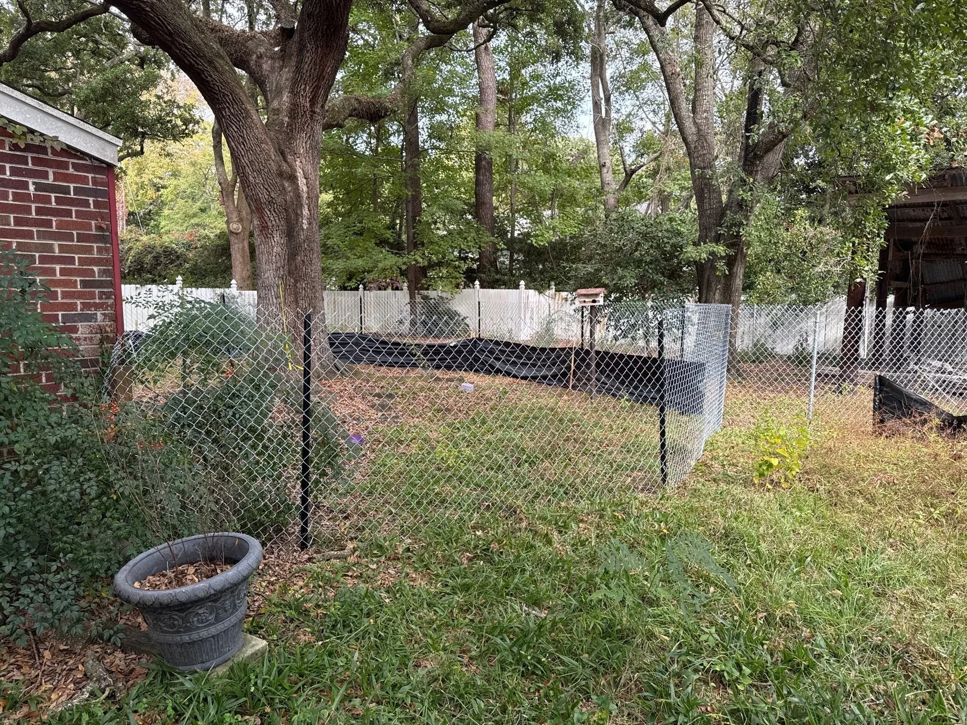 32-Nov 26 2024 04_25pm-BWGn.jpg