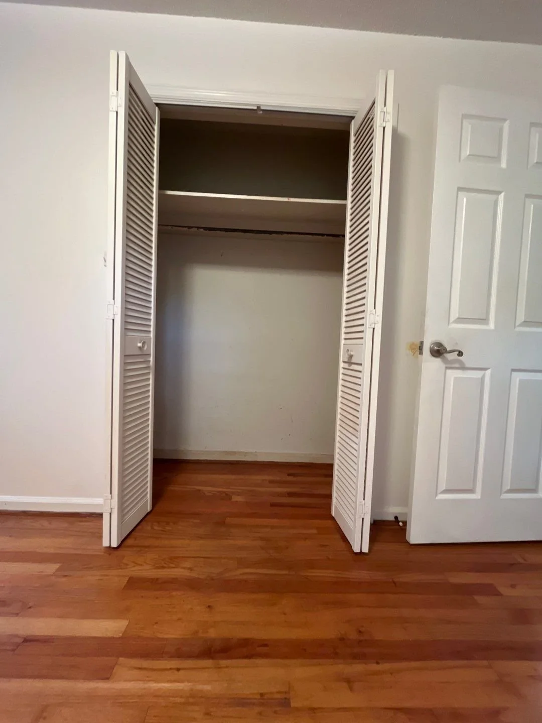 41-Nov 27 2024 04_31pm-a28e.jpg