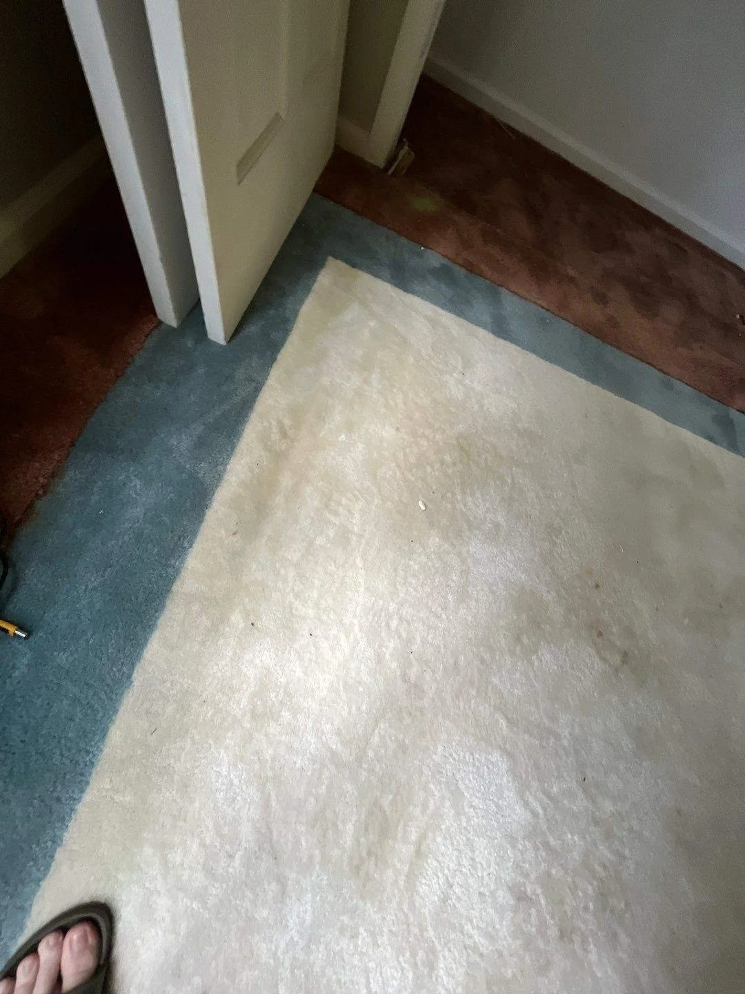 59-May 13 2023 02_30pm-fn1w.jpg