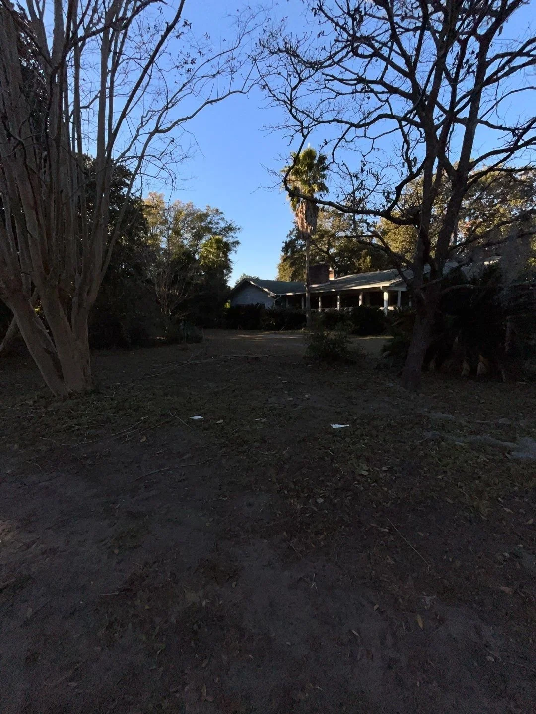 28-Dec 06 2024 08_31pm-K827.jpg