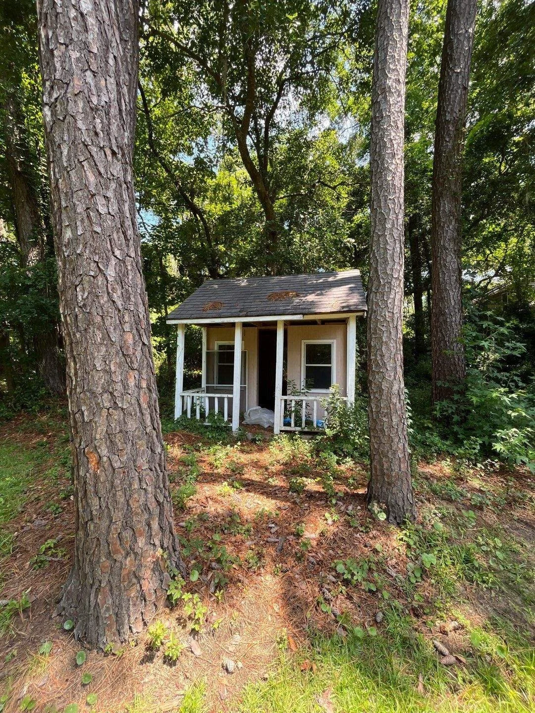 18-Jun 11 2024 04_00pm-AcKZ.jpg