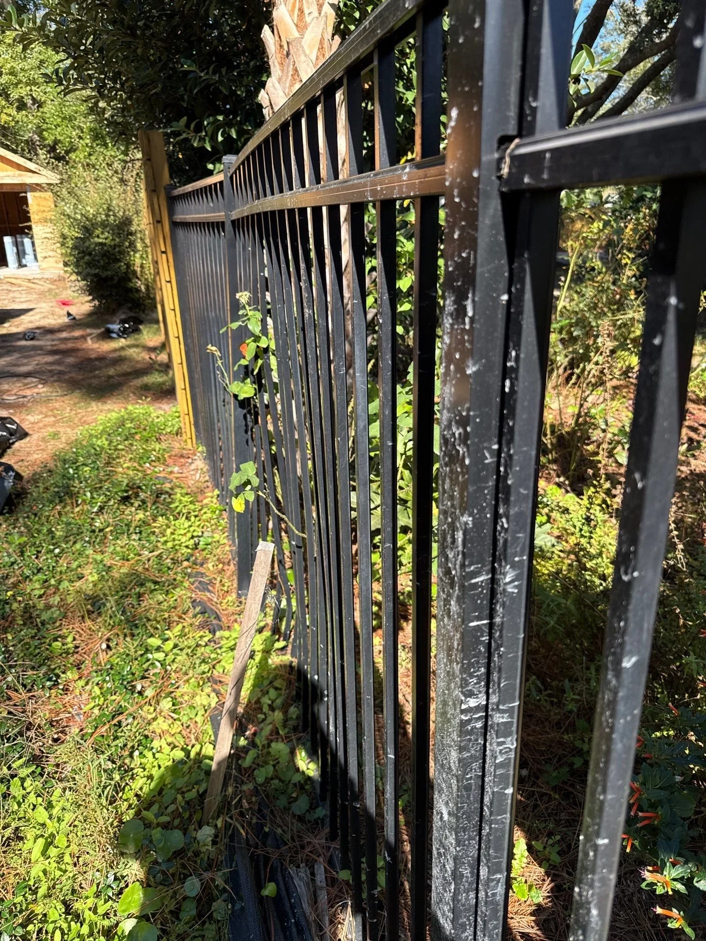 80-Nov 13 2024 04_35pm-KYZT.jpg