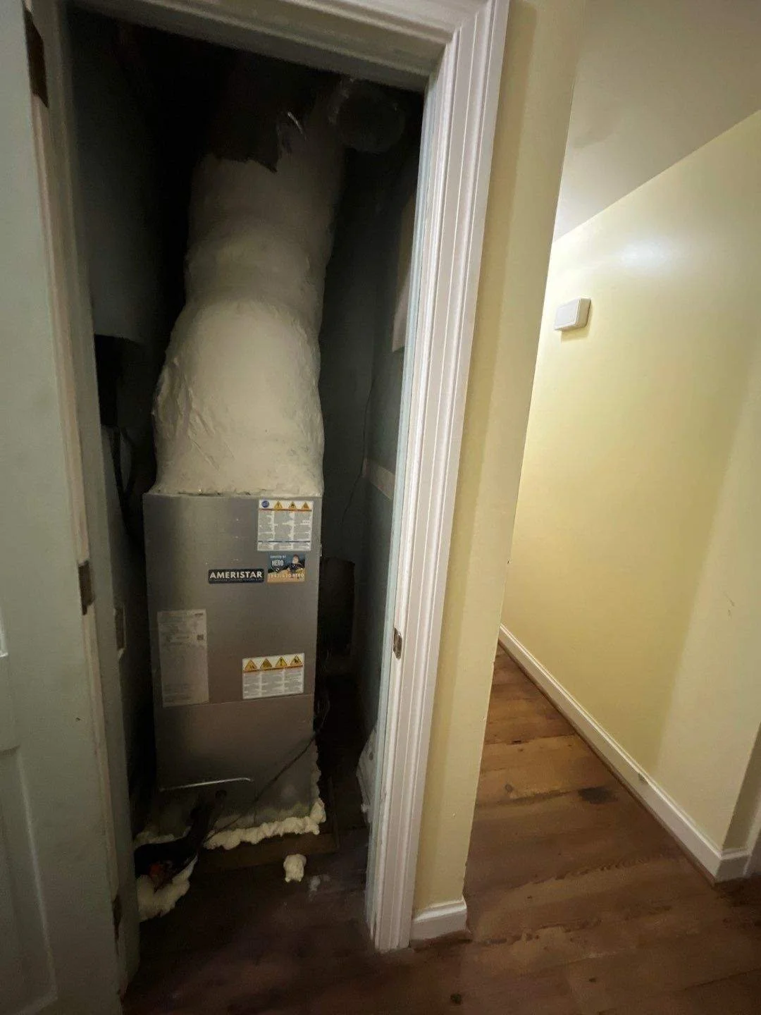 38-Jan 23 2024 04_36pm-injp.jpg