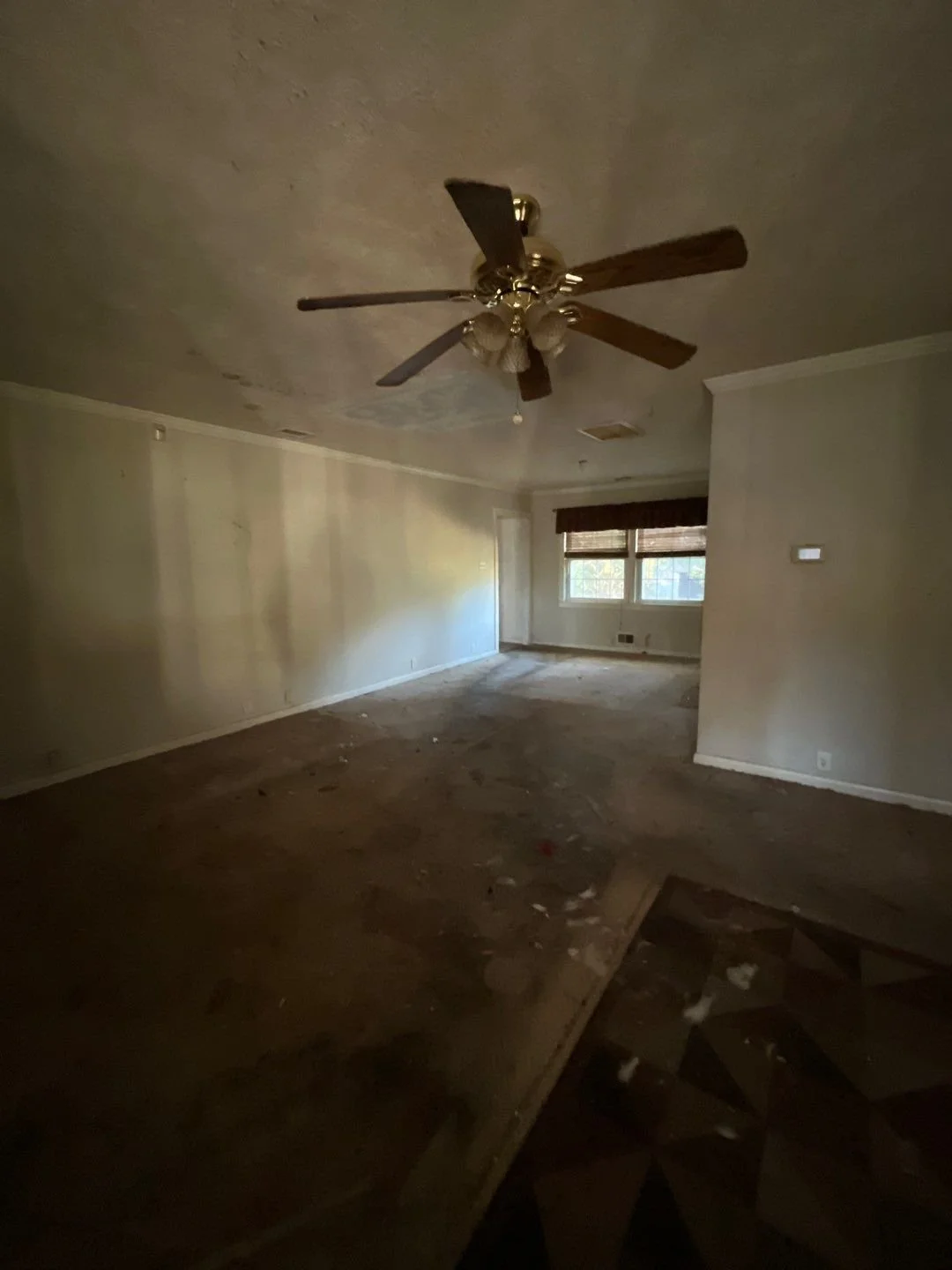 5-Dec 06 2024 08_17pm-DUpA.jpg