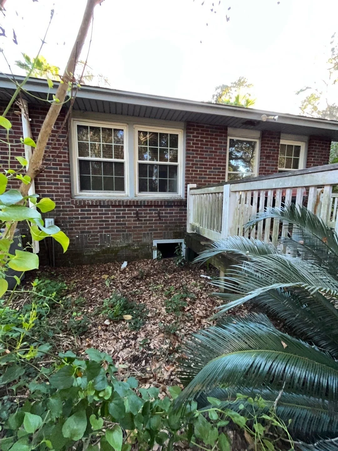 26-Dec 06 2024 08_25pm-cmhJ.jpg