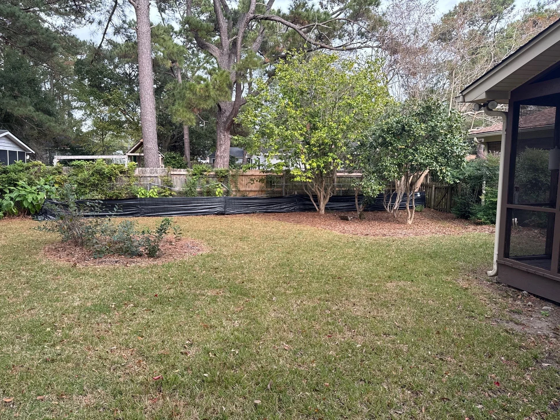 9-Nov 26 2024 04_09pm-jJcL.jpg