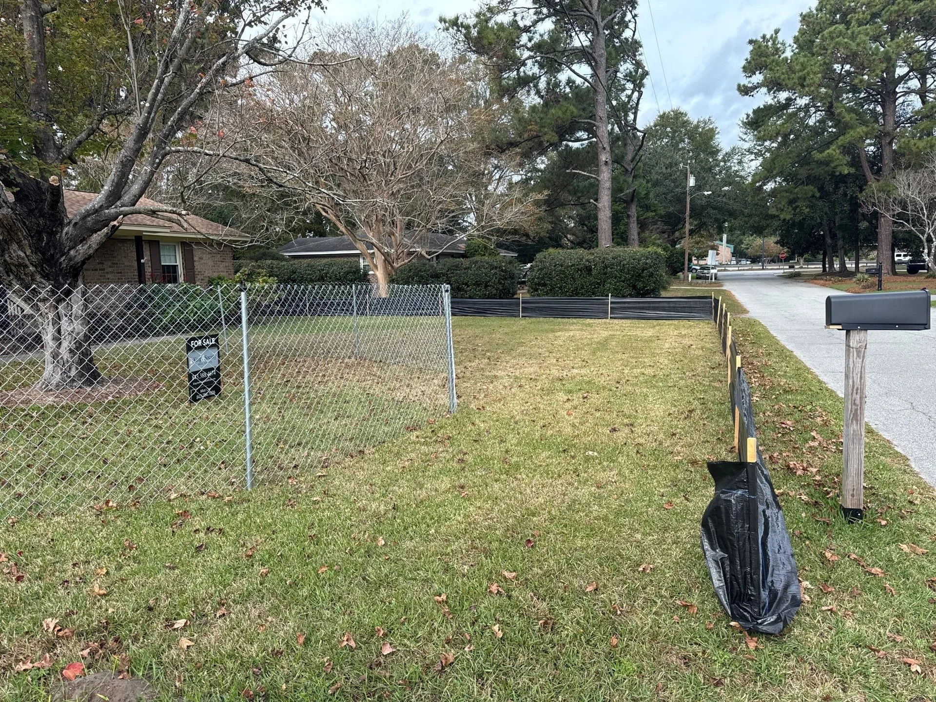 3-Nov 26 2024 04_08pm-G1AF.jpg