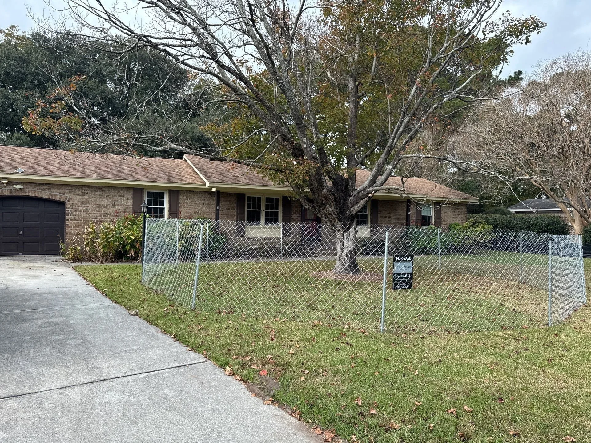 10-Nov 26 2024 04_14pm-2A5n.jpg