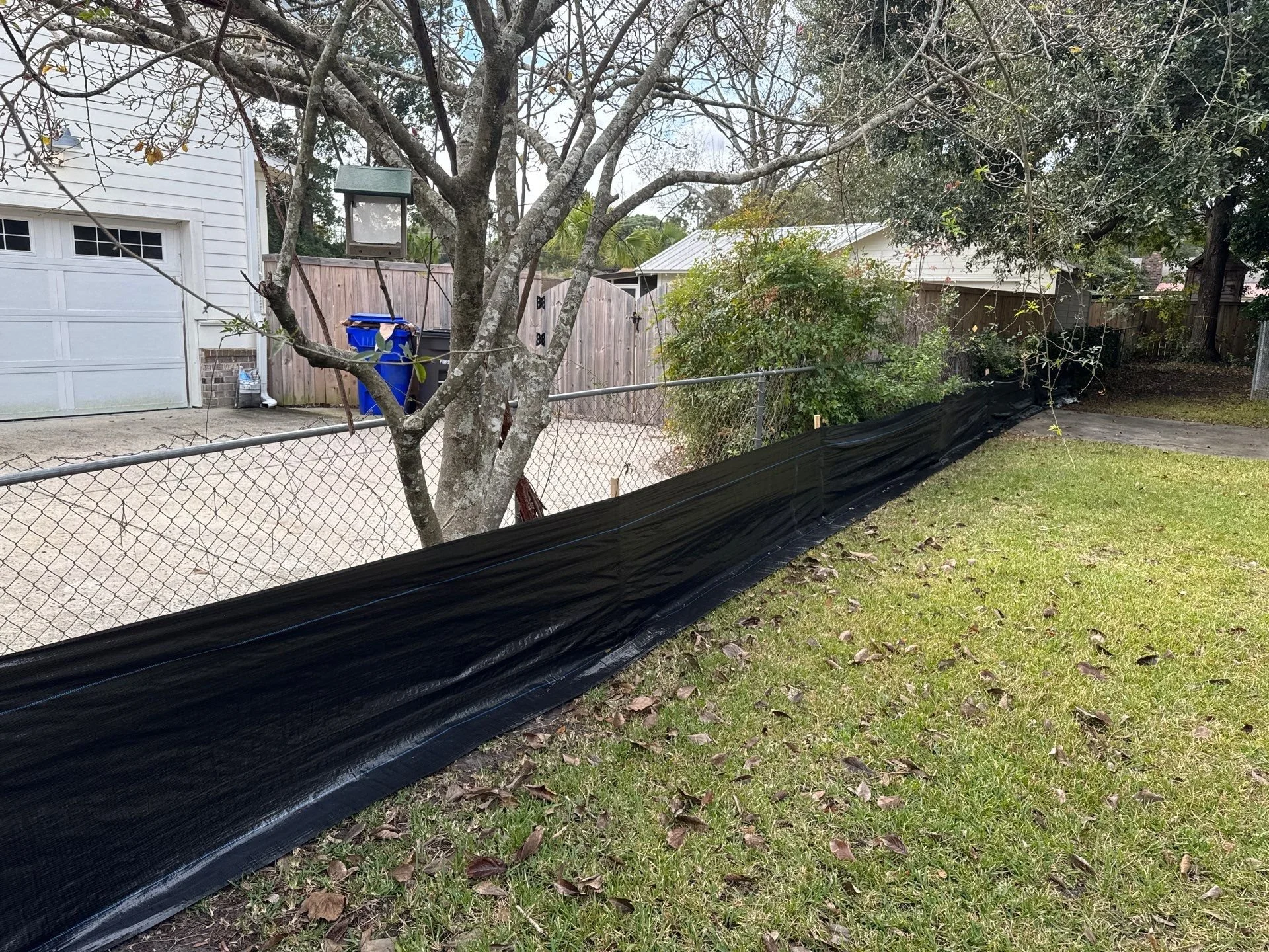 5-Nov 26 2024 04_08pm-bPNB.jpg