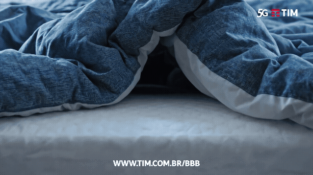 EDREDOM-COPIA-TV-BBB24H_preview-2.gif