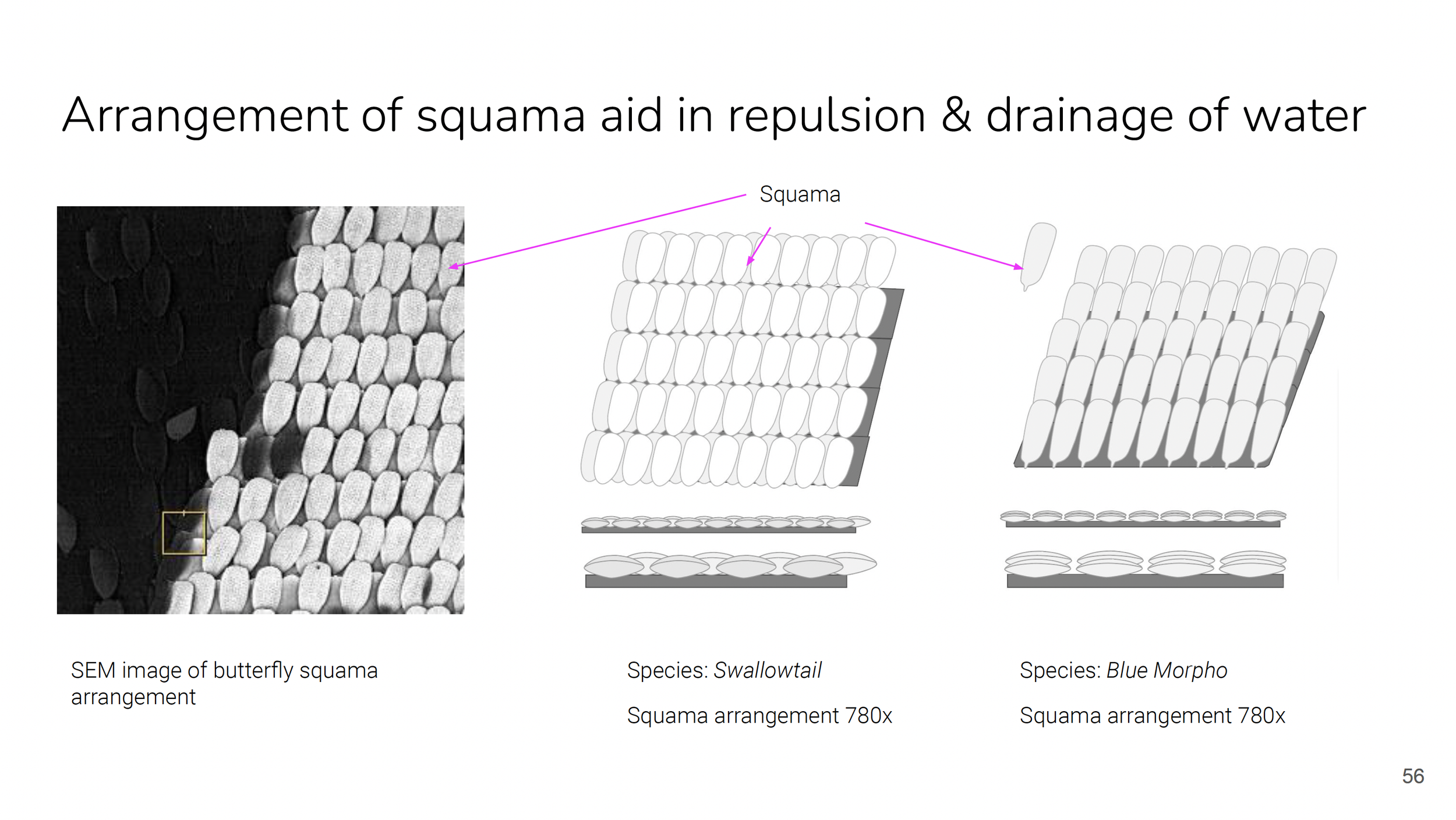 Screenshot 2024-12-16 at 7.55.48 PM.png