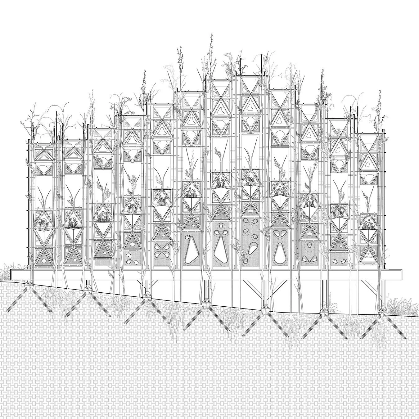 fab-tree-hab-elevation-web0223.jpg