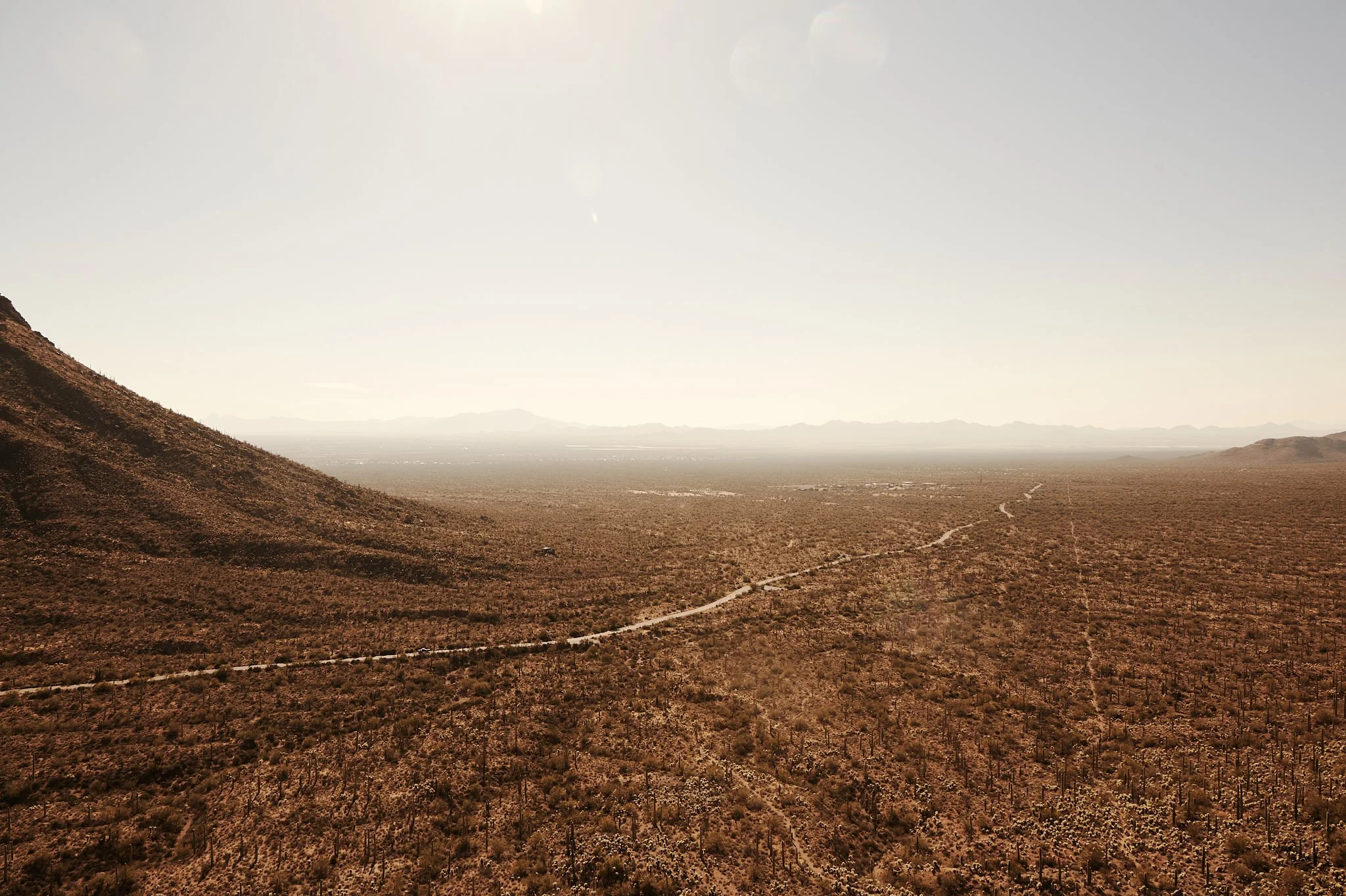 AZ_Lemmon_294.jpg