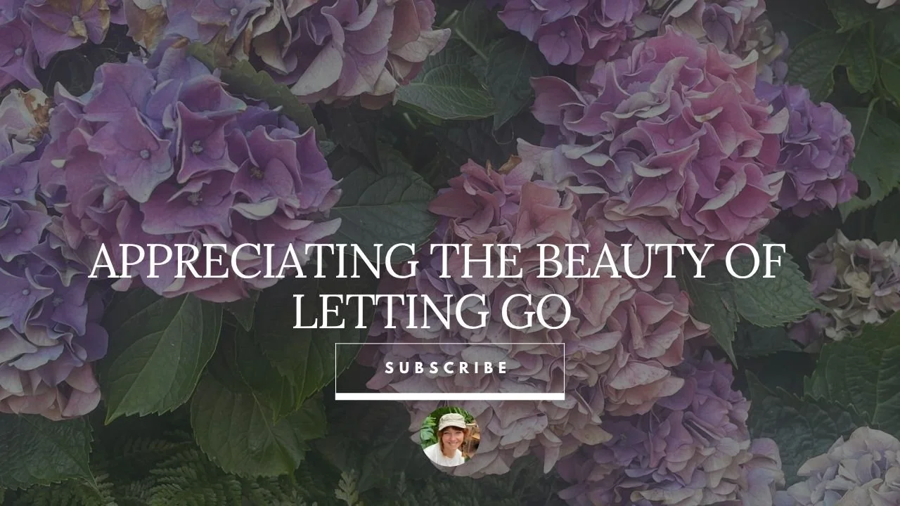 Like Hydrangeas we are also shaped by the environment we root ourselves in, whether it’s the people we surround ourselves with, the thoughts we nurture, or the culture we grow in.

