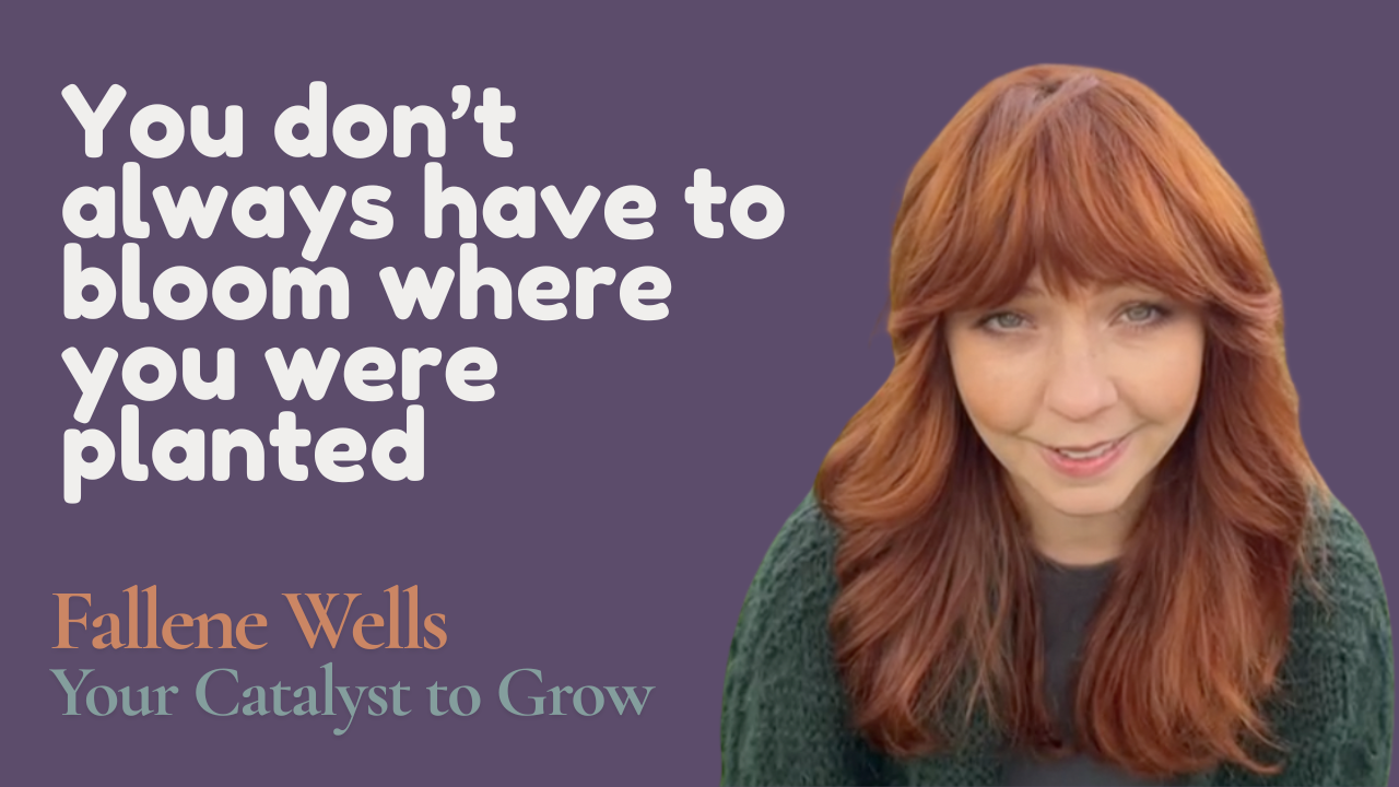 Plants have taught me so much over the years of gardening. One of the biggest lessons I’ve learned is that you don’t always have to bloom where you’re planted.

Changing your physical environment isn’t always possible, but honoring yourself and chang