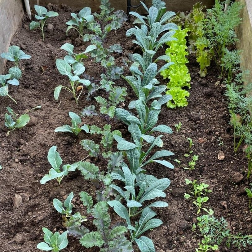 Planting the Seed: 5 Steps to Start Your Business with Confidence