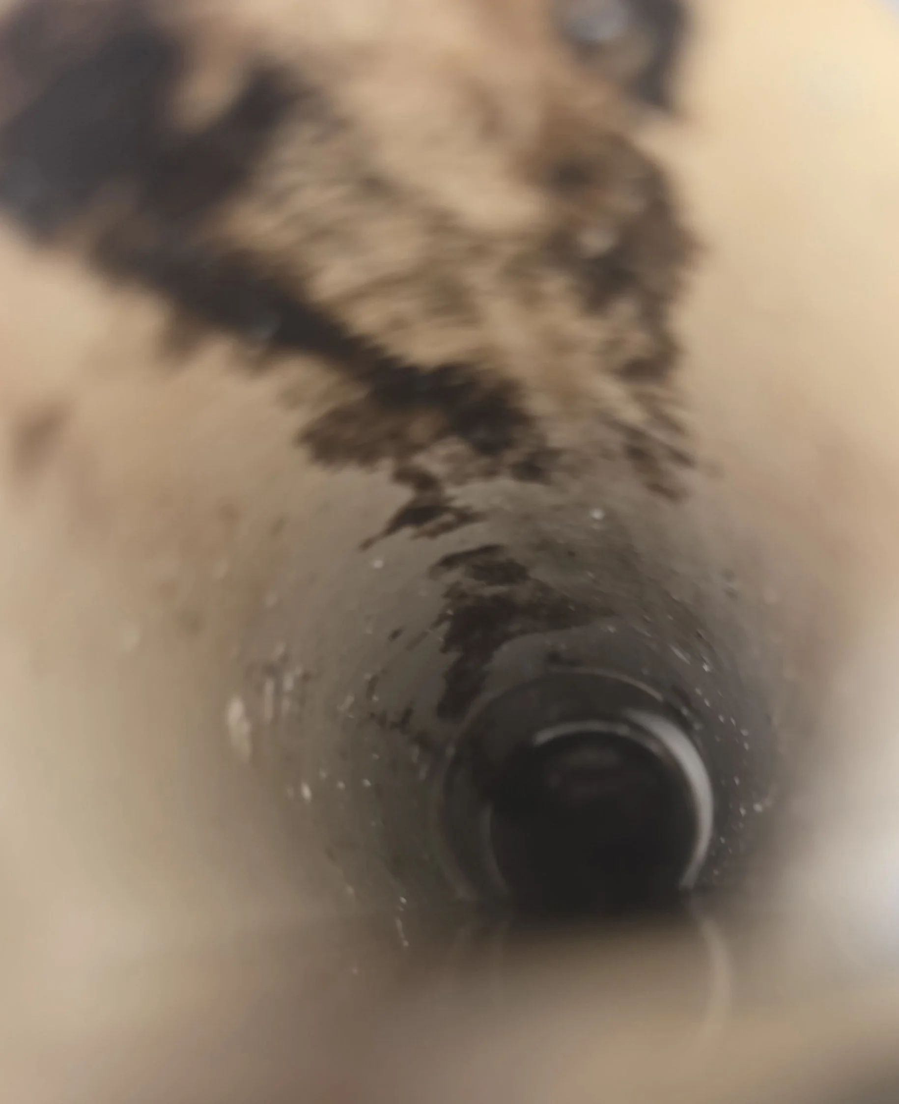 Sewer camera inspection inside a drain pipe