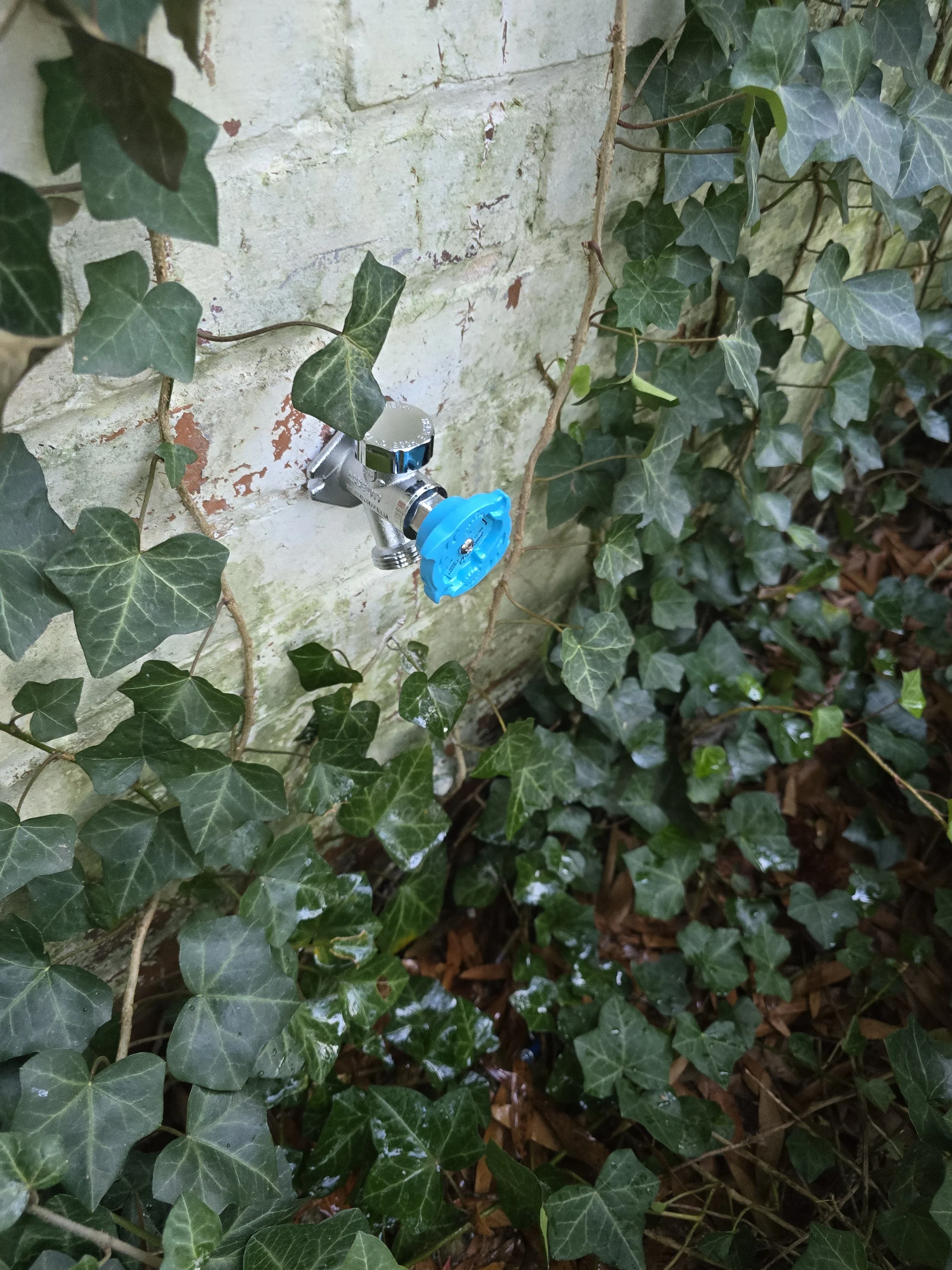 Frost-free hose bib installation in Westminster, SC