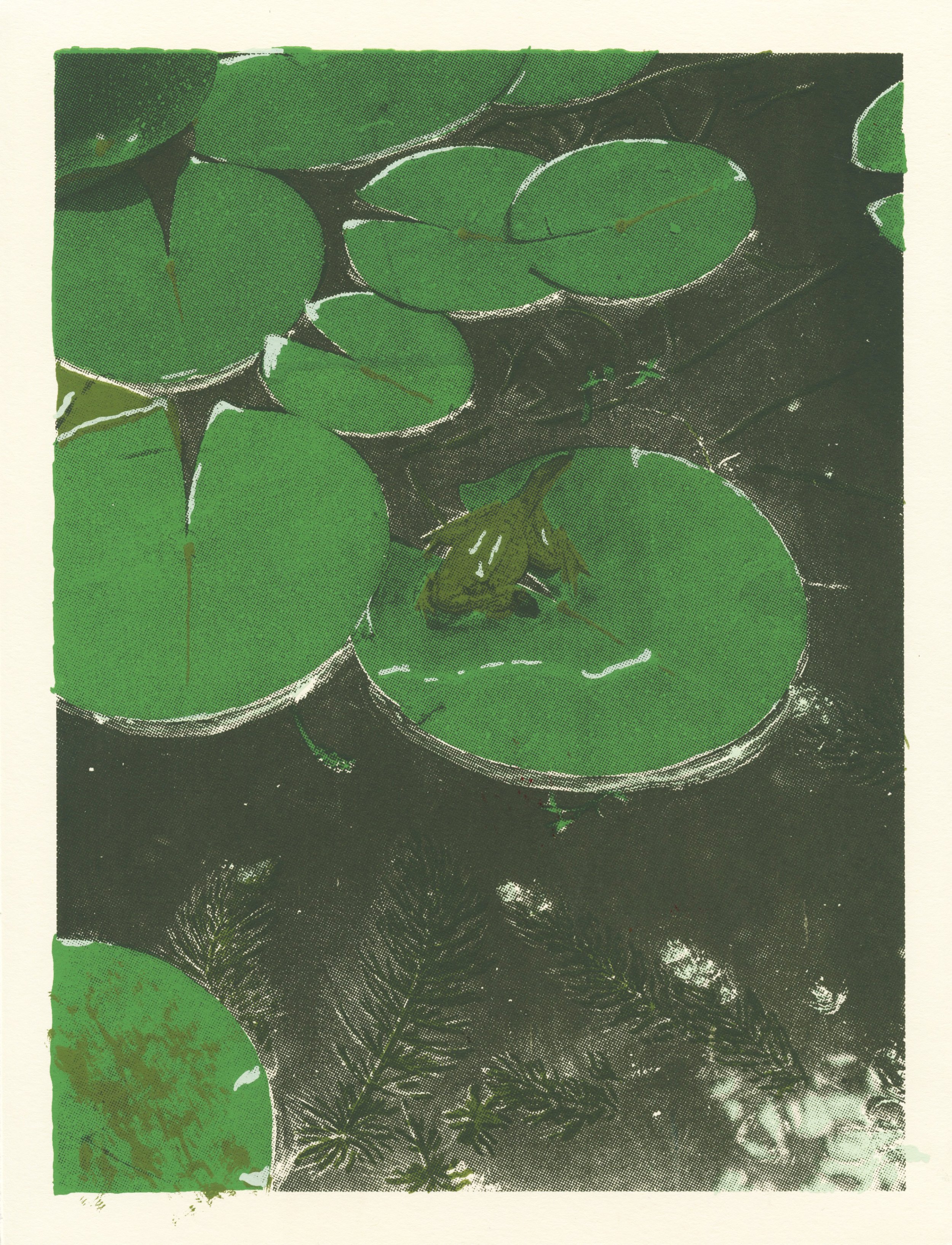 warm white hops.jpeg