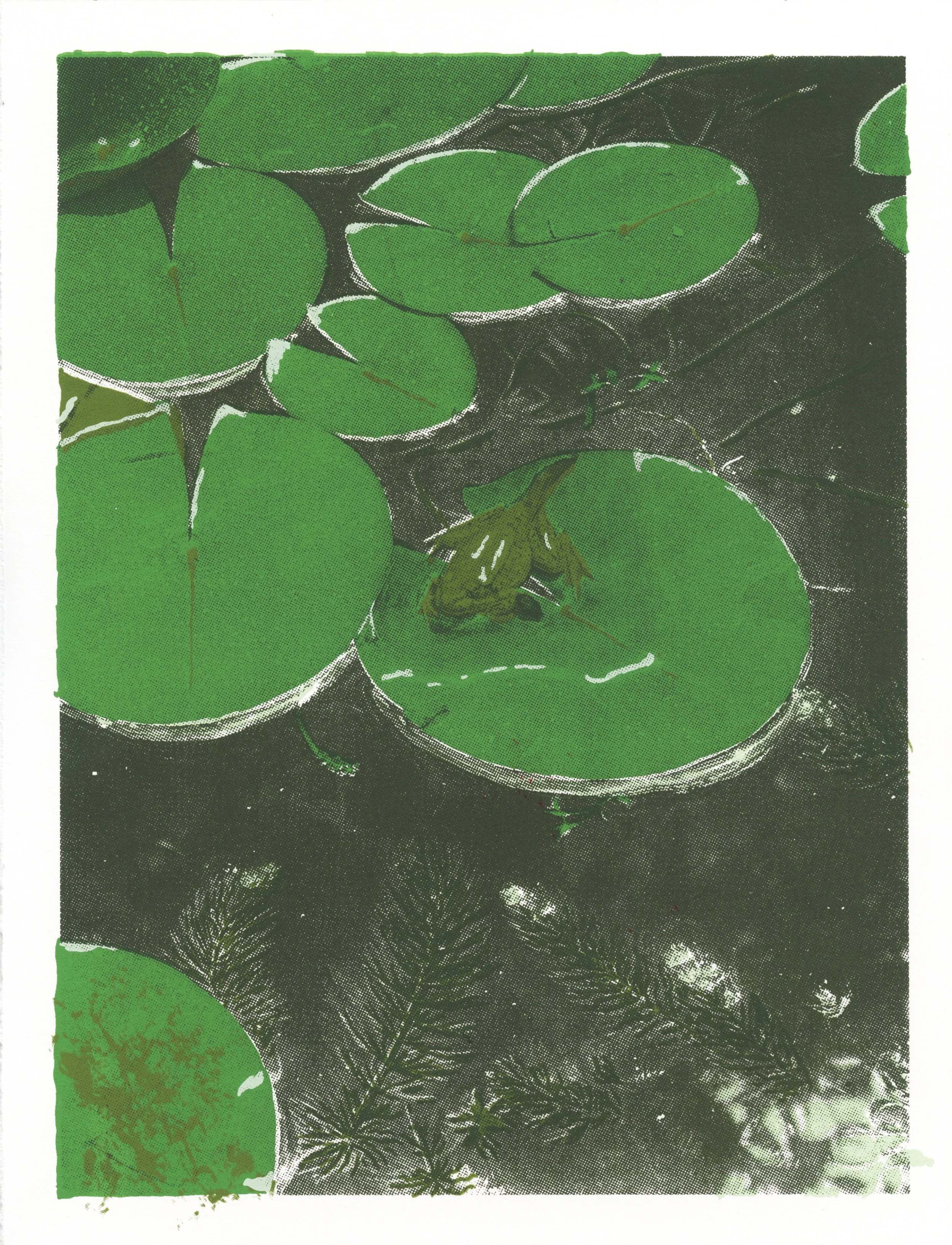 cool white hops .jpeg