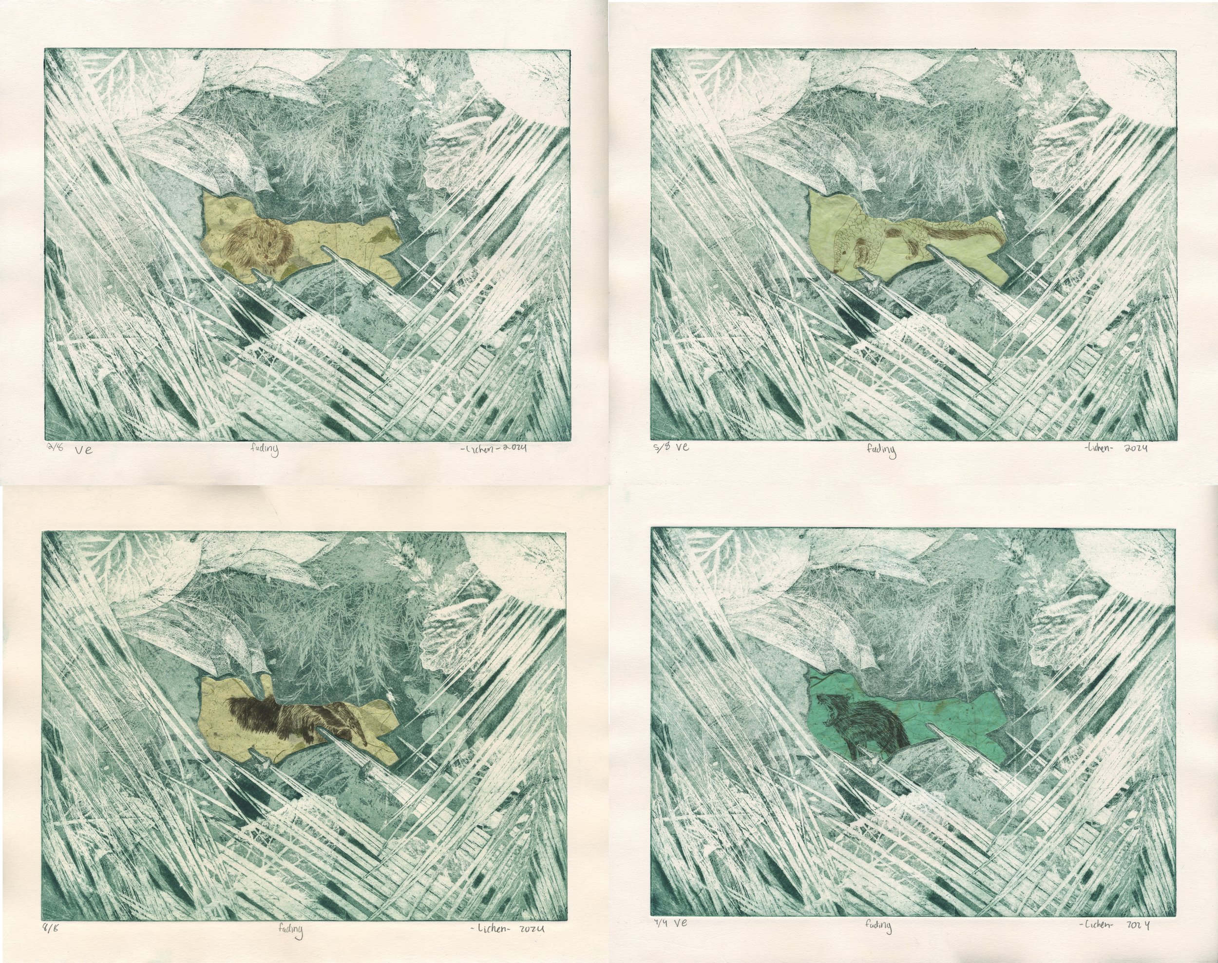 Fading (variables), 
14x11 in,
copper plate and plexiglass etching