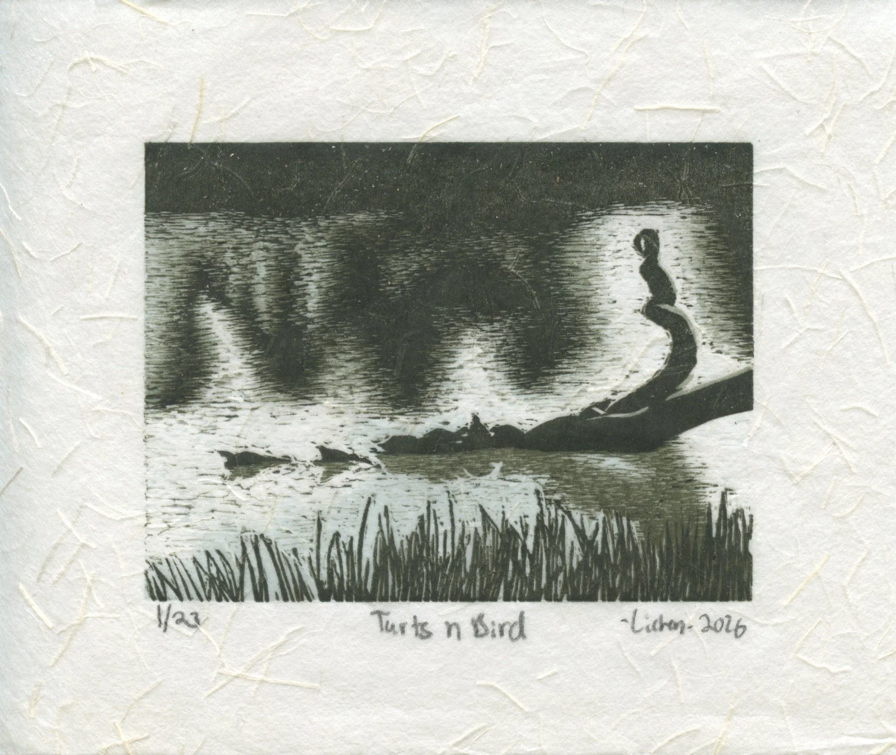 Turts n bird white.jpg