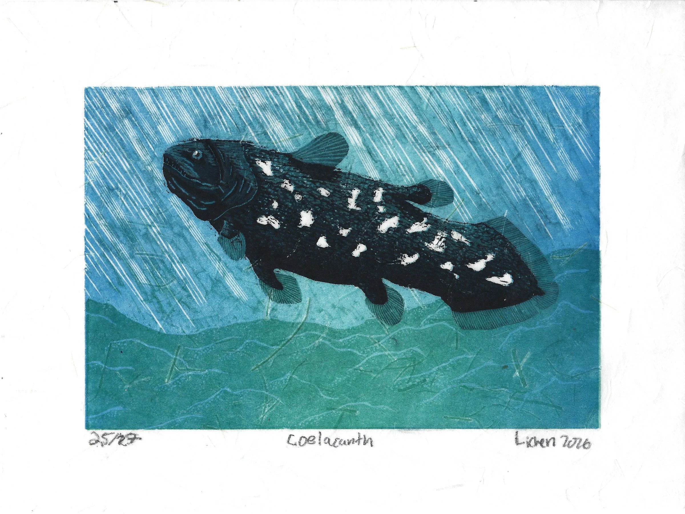Coelacanth,
2026,
8x6 in,
wood engraving on eastern paper 