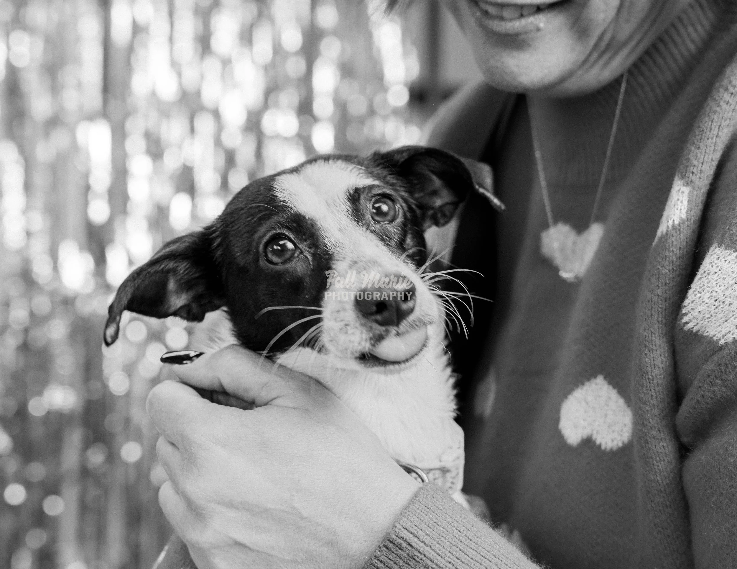 A person holding a cute puppy with a black and white coat, in a forested area with blurred trees in the background, in black and white.