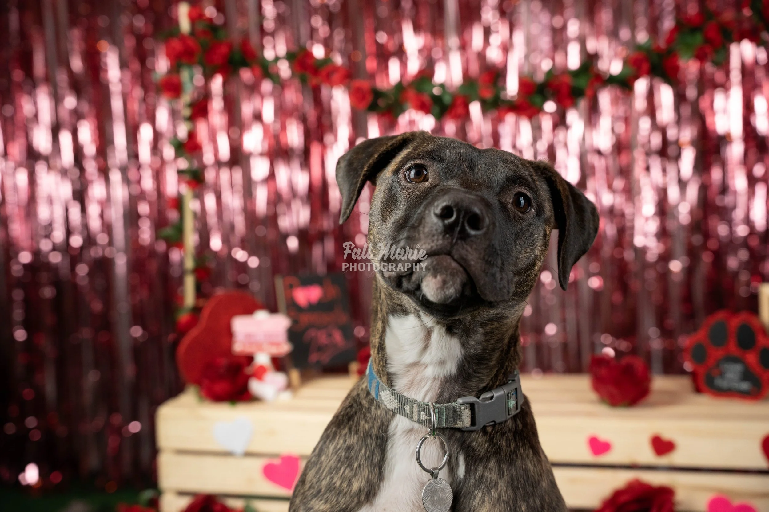 The Story Behind This Month’s Set : THe Smooch Booth 