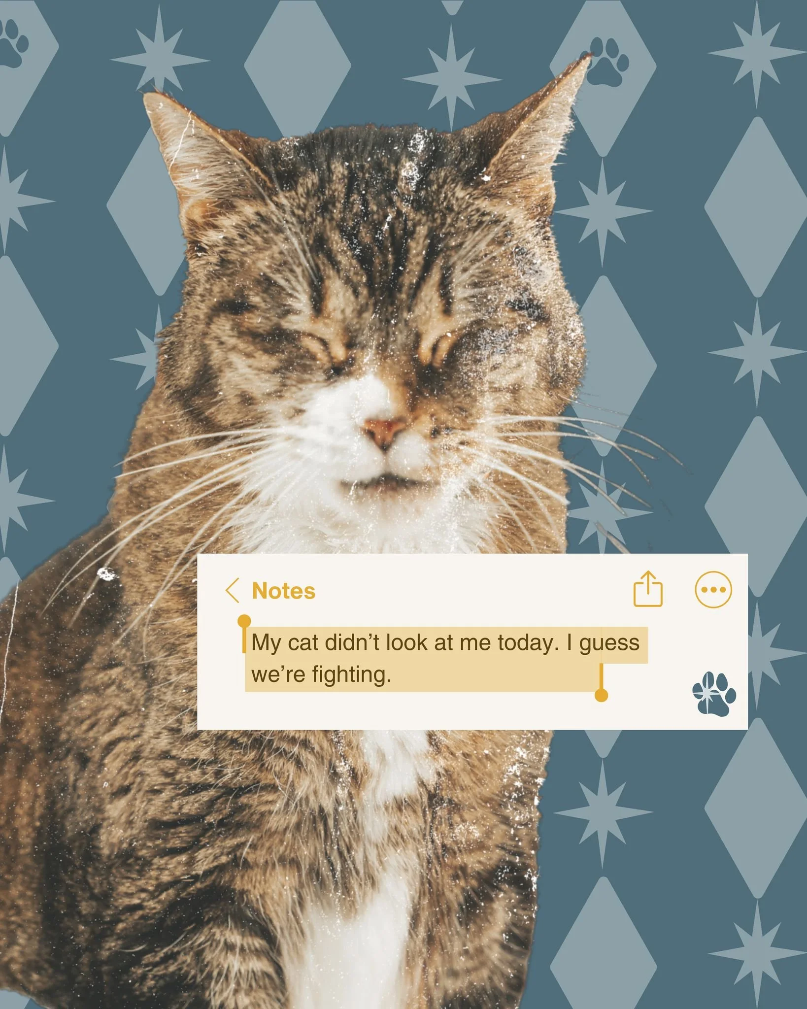 Why is it always the cats?

 #catgram #catphotography #catinstagram #PetHolidayPhotos #MilwaukeePhotographer #christmas2025 #CedarburgWI #HolidayPhotoshoot #FallMariePhotography #GraftonWI #WestBendPhotographer #HolidayPhotosWI #WestBendWI