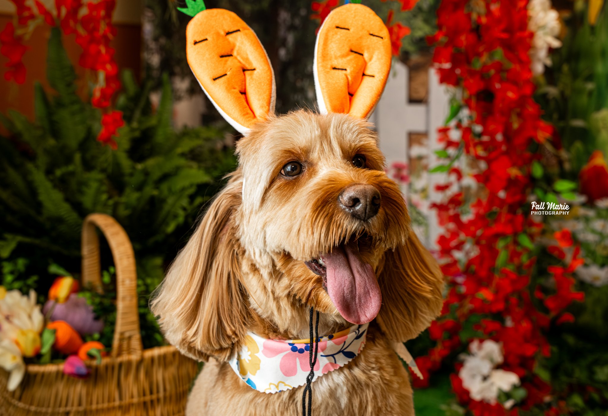 Easter Paw-cnic 2026 Recap: A Tail-Wagging Success in New Berlin, WI 🐾🌸