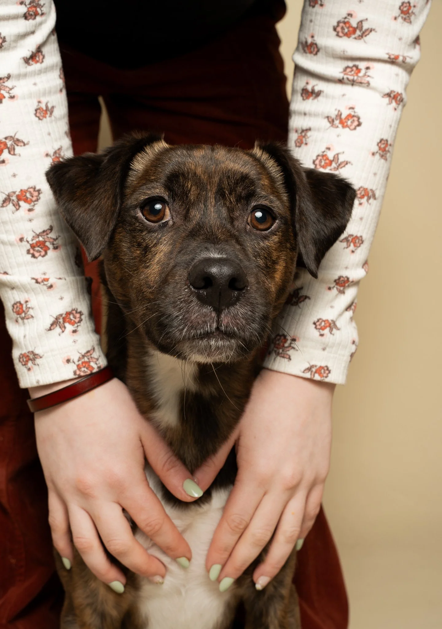 Pet Mom - Studio Session