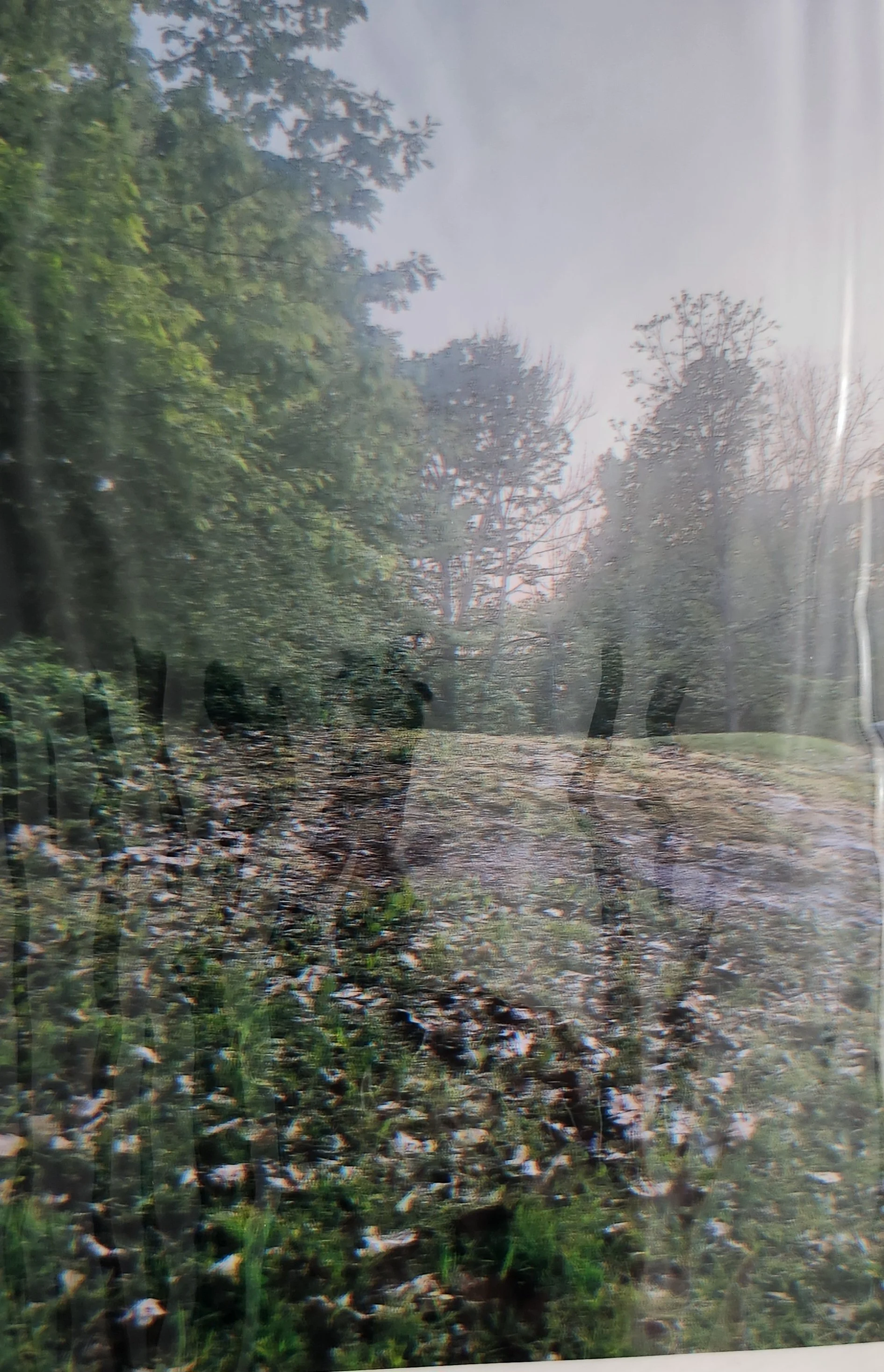 The Stillness of Winter and My Nature Story