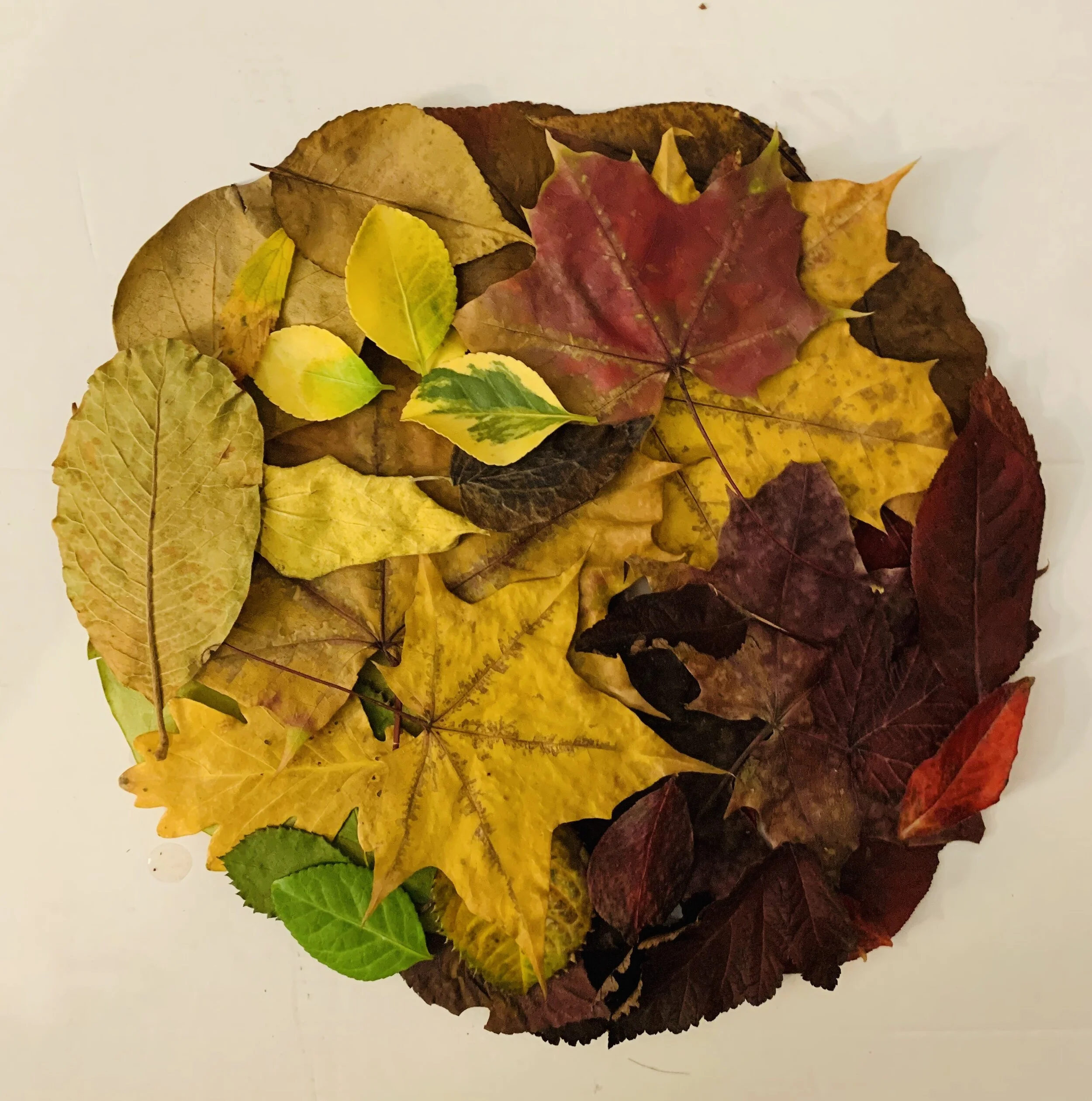 2020 Virtual Conference Collective Gallery