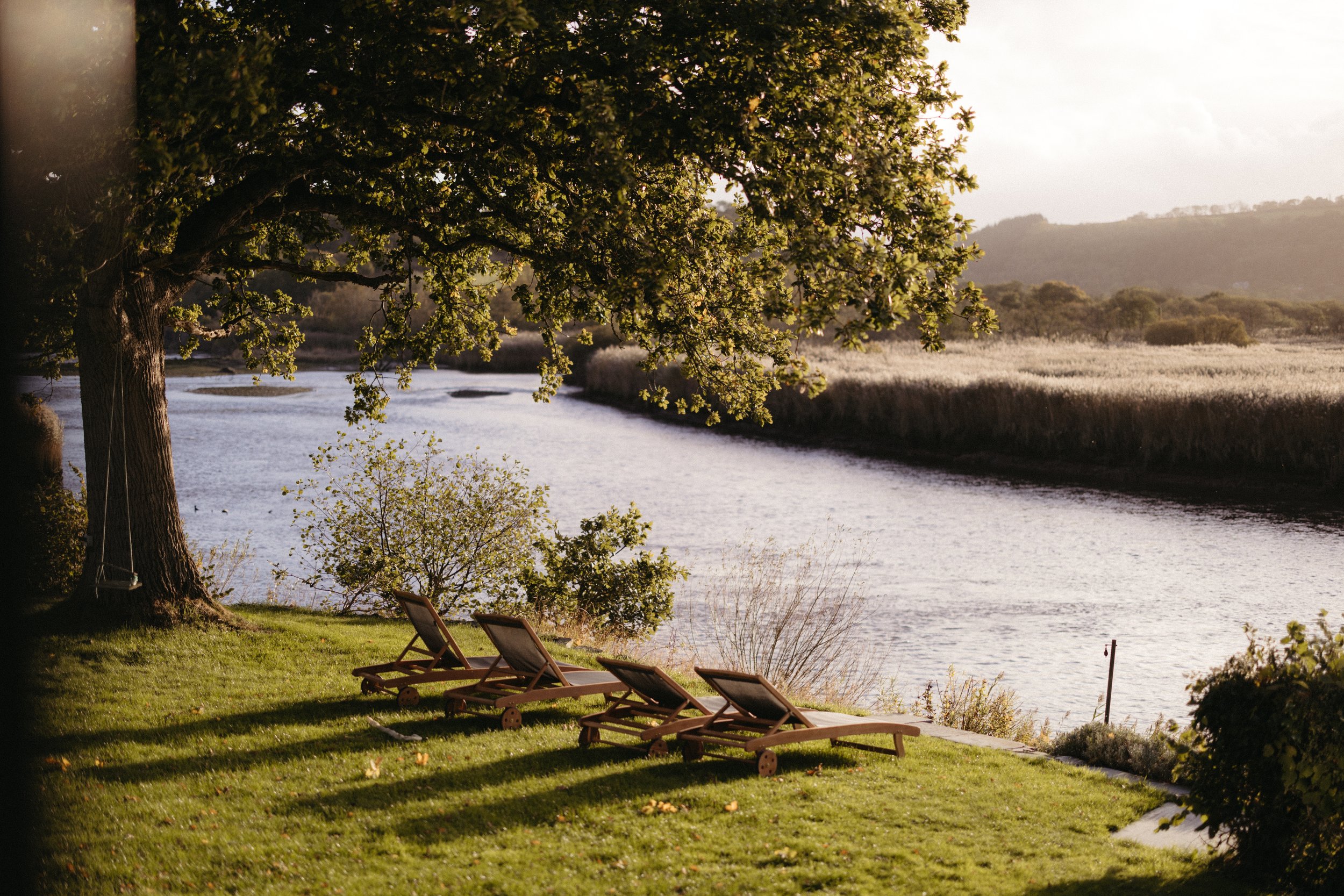 View of tree and river.jpg