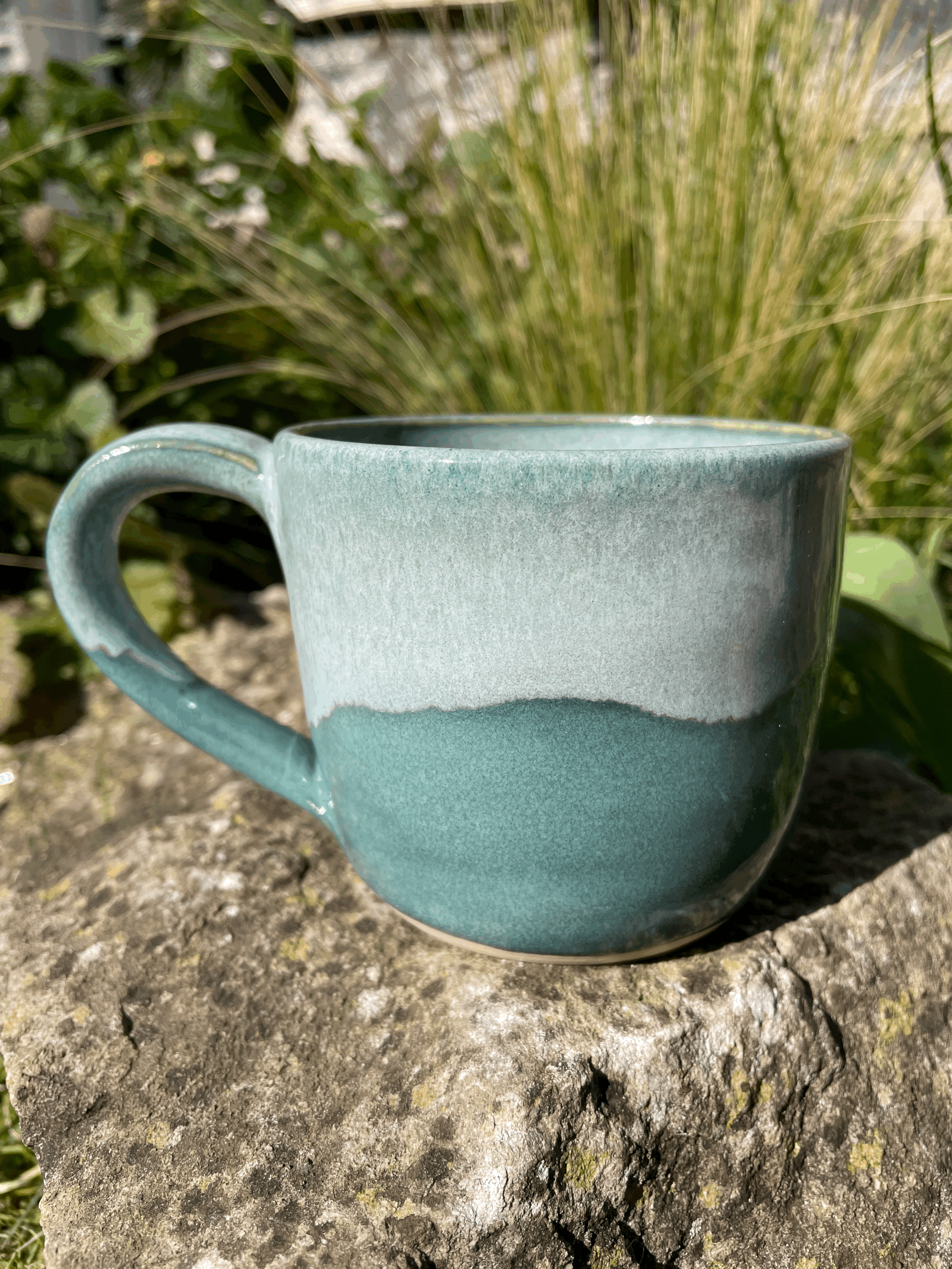 tempImagekFig4b.gif
