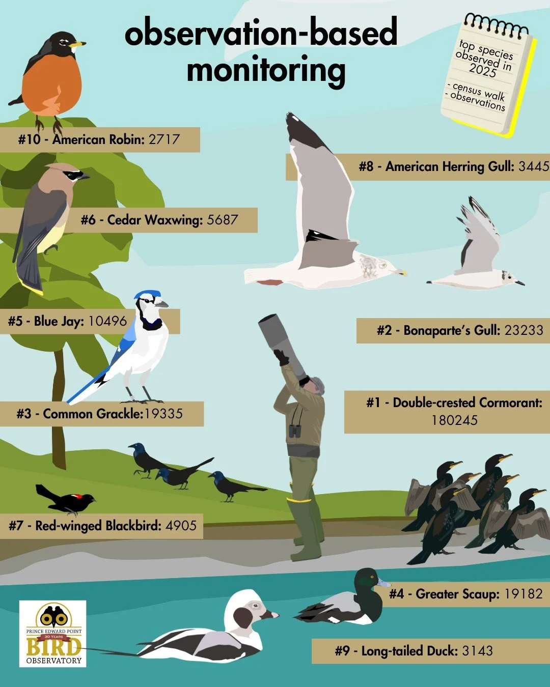 Migration Monitoring at PEPtBO - more than just Banding!