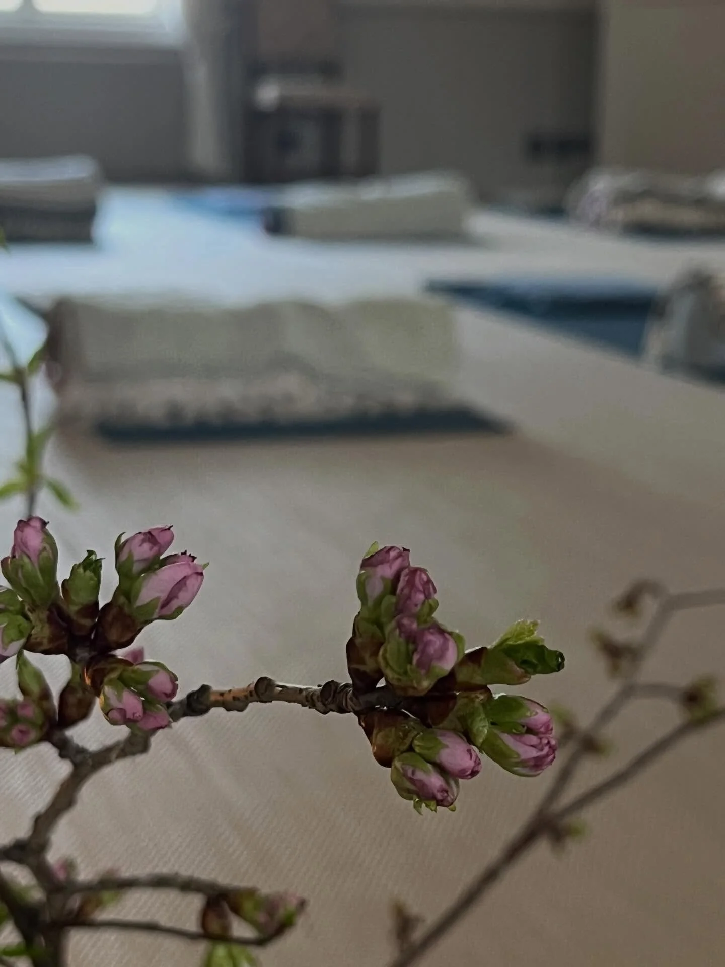 🌸Krapin Onnelassa Kukoistaa🌸
T&auml;&auml;ll&auml; kaikki valmiina huomista hyvinvoinnin tapahtumaa varten. 

Lupaa upeaa keli&auml;, olet l&auml;mpim&auml;sti tervetullut🌸

Lipun voi ostaa my&ouml;s portilta.